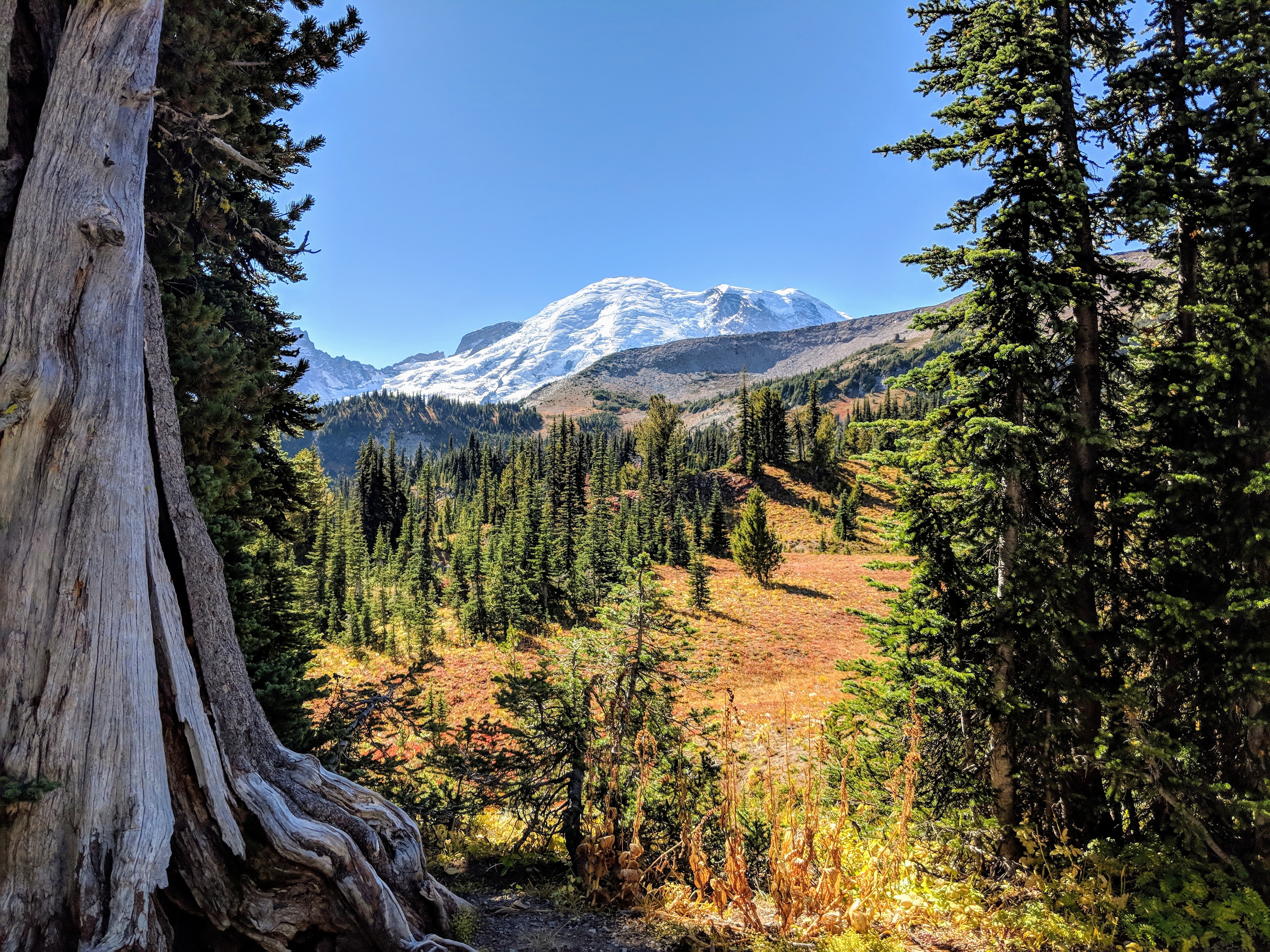 Sunrise, Mount Rainier National Park, WA, USA r/hiking