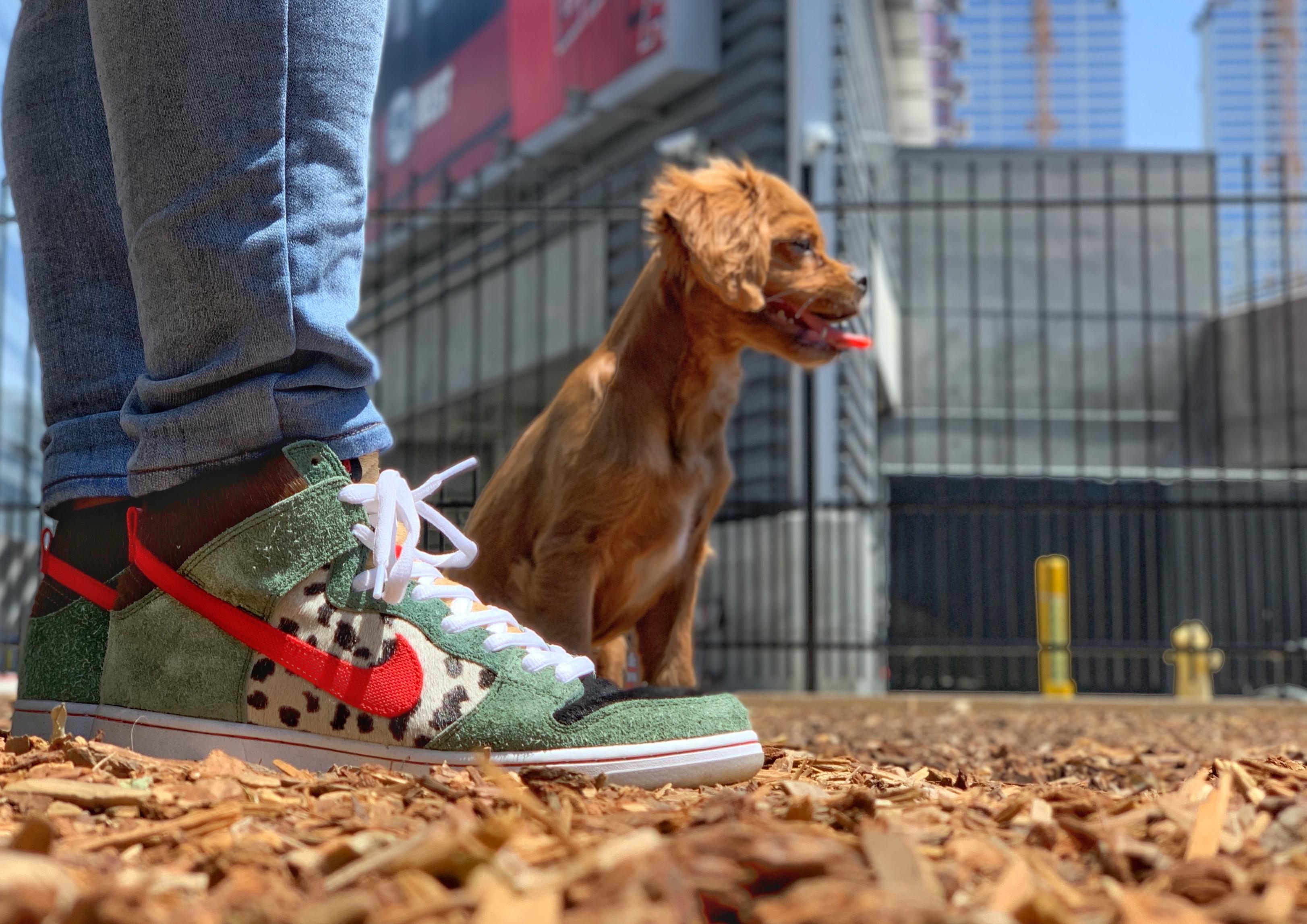 Got my dog walking shoes now r/Sneakers