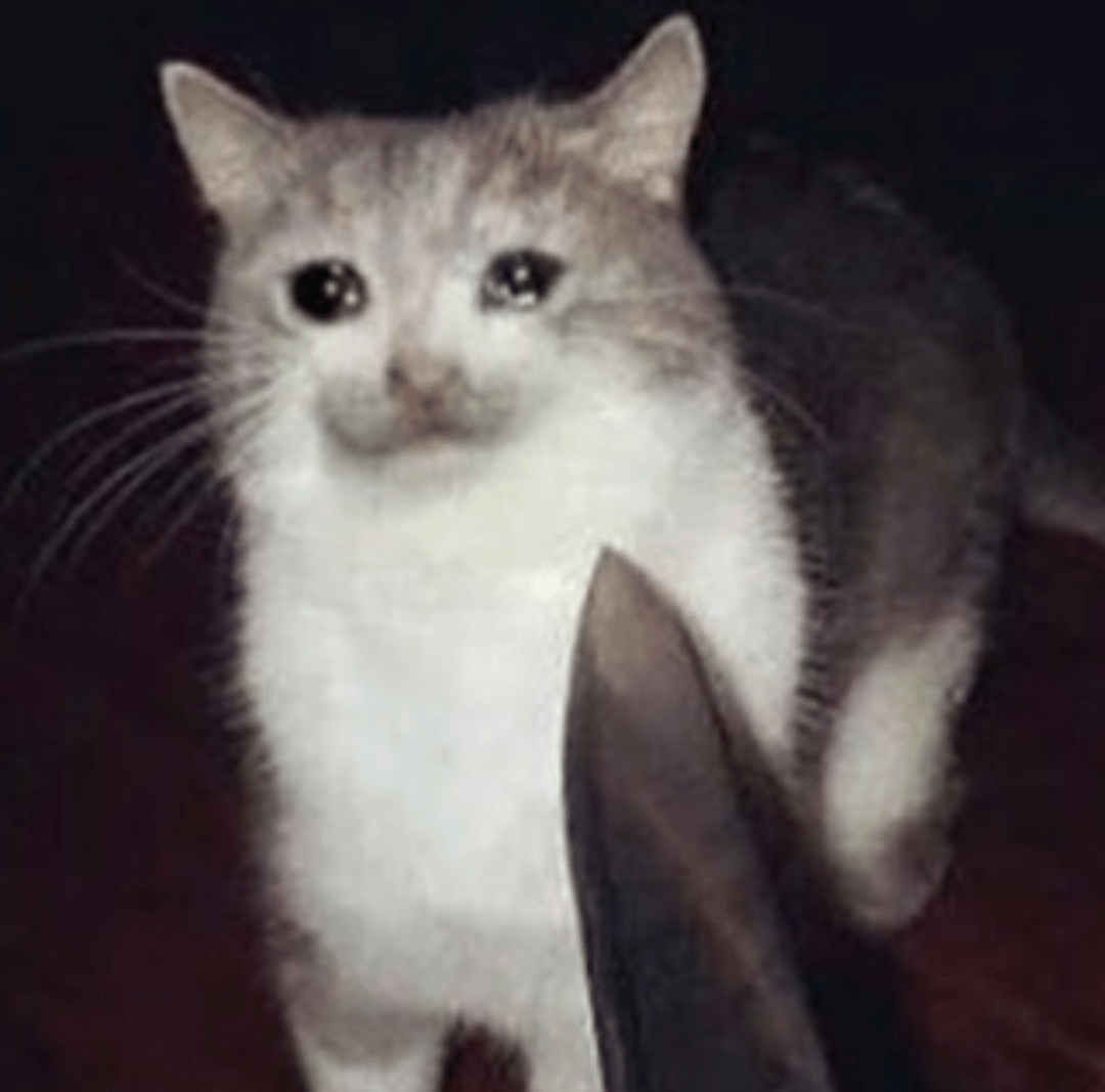 Me when I try to reach out to more people, and after saying 2 words