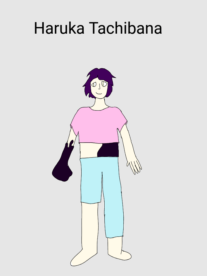 Haruka Tachibana, Nr.14. Quirk Pocket dimension. He has a