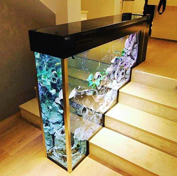 All You need to Know about Wall Aquarium in House!