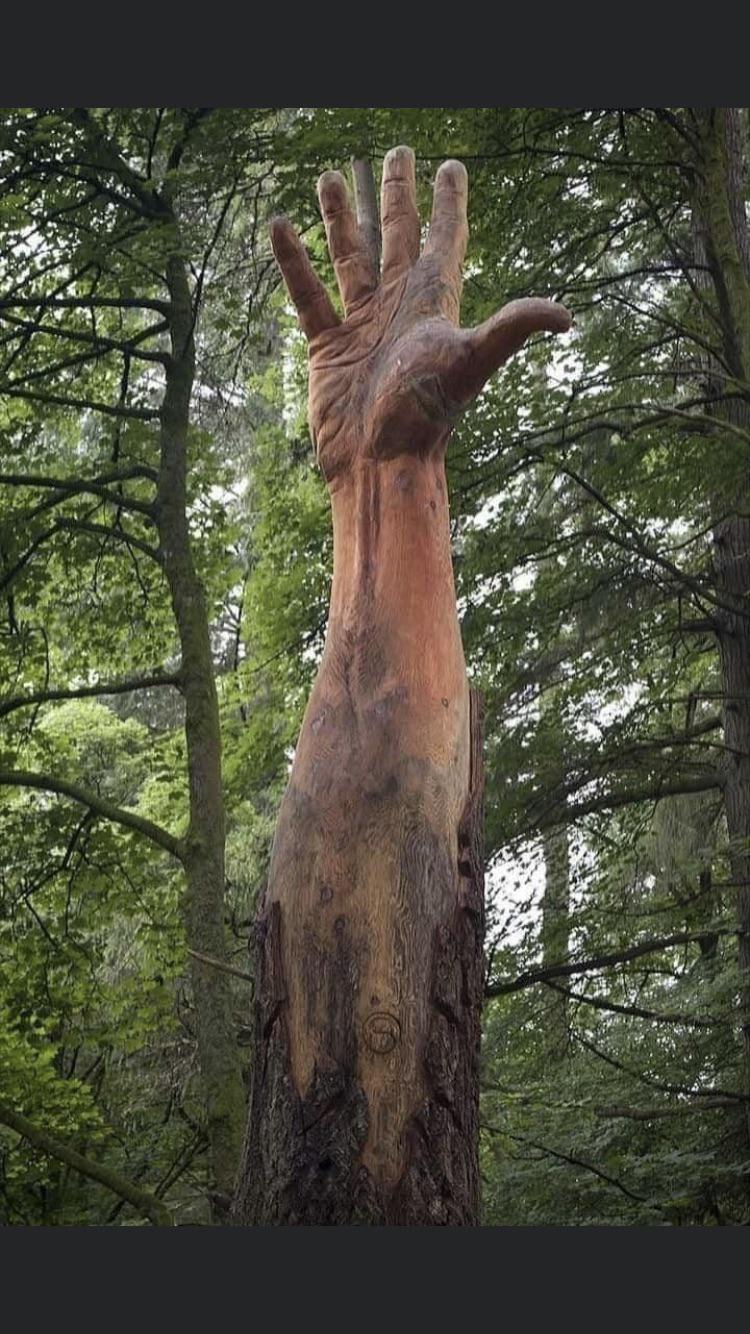 This realistic looking hand carved out of one tree. r/nextlevel