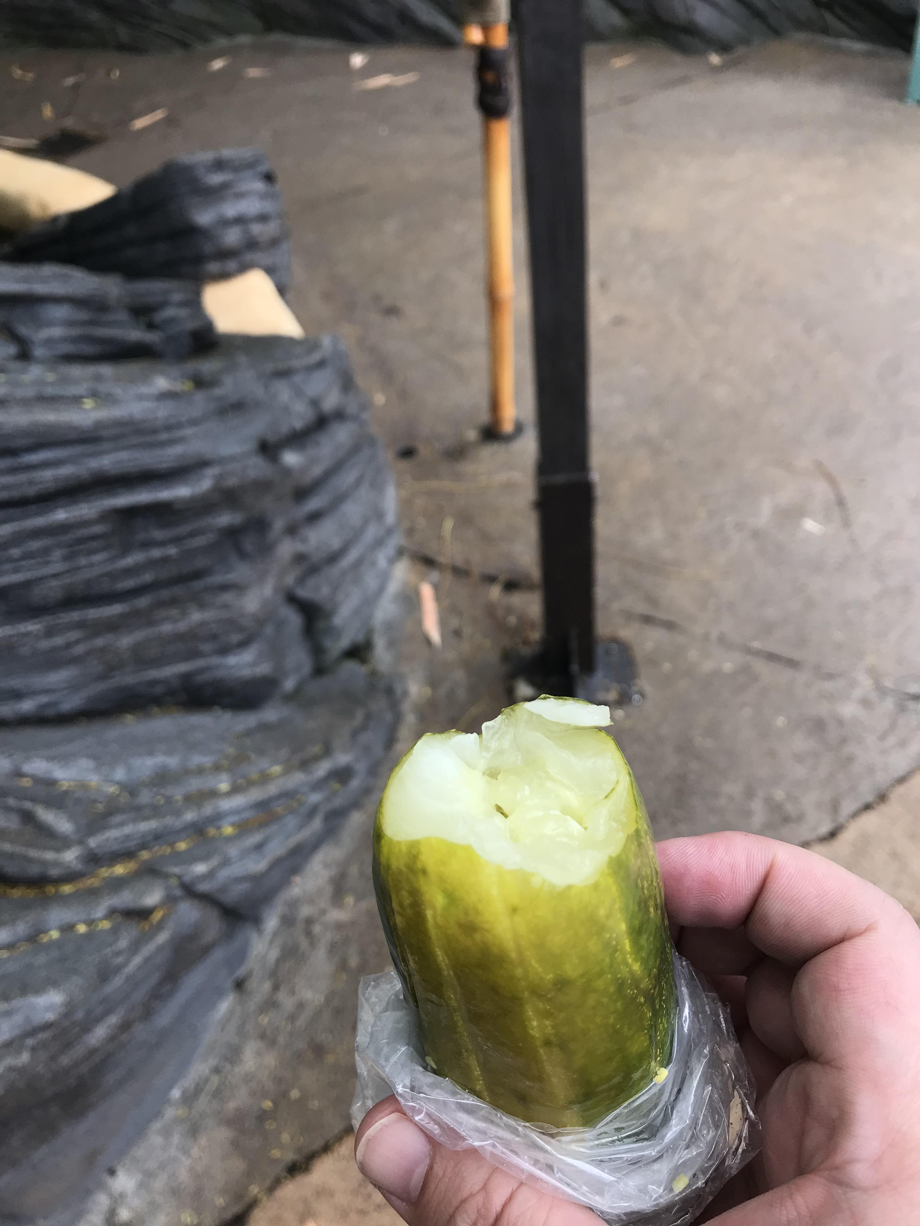 My first Disney pickle! r/Disneyland