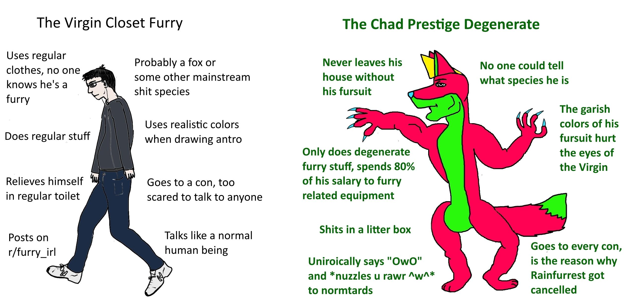 The Virgin Closet Furry VS The Chad Prestige Degenerate r/virginvschad
