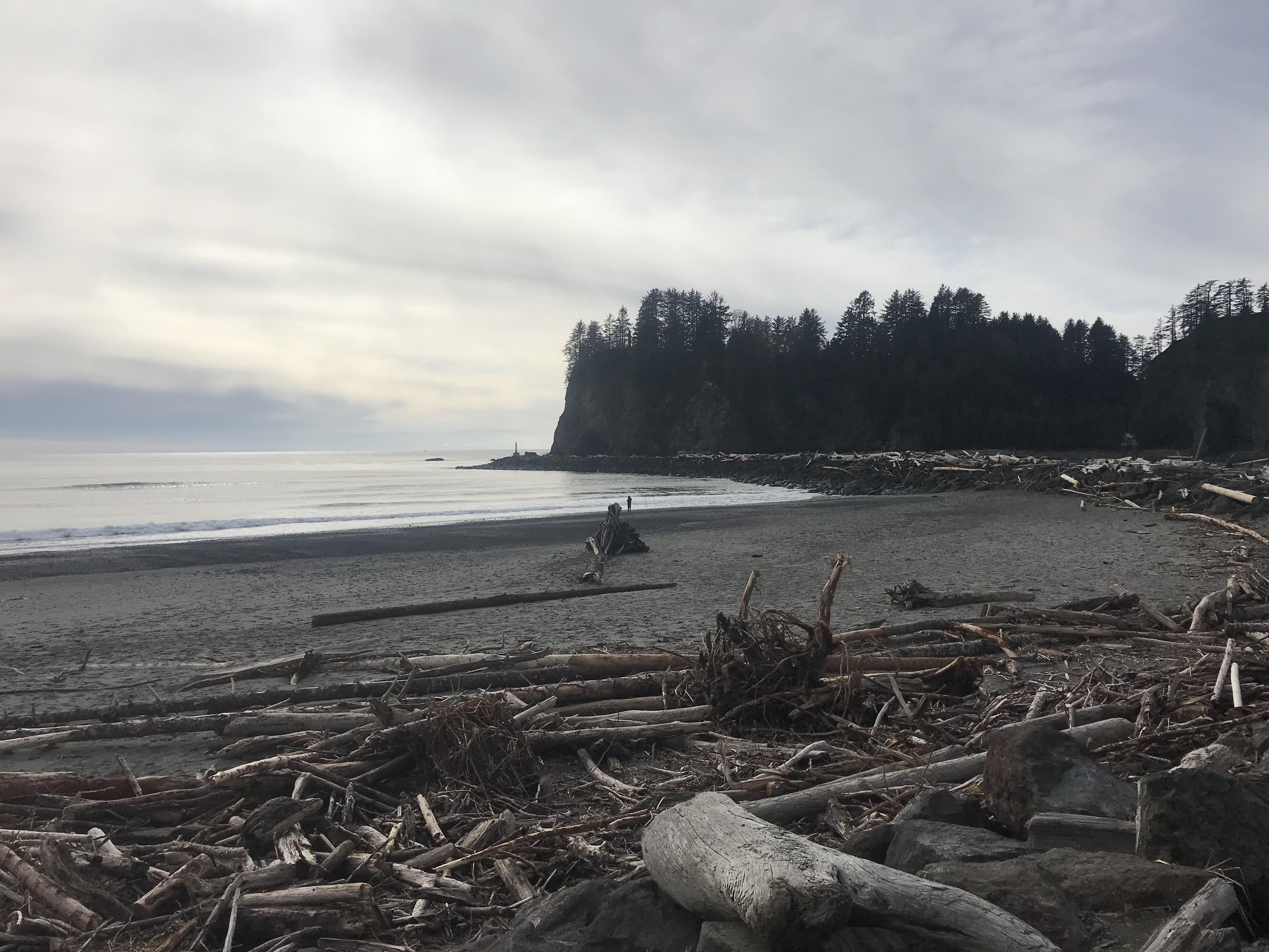Unedited photo First Beach, La Push, Washington r/Outdoors