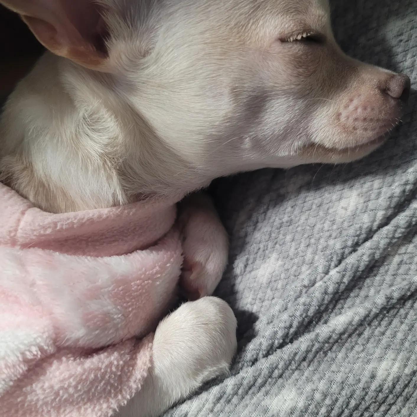 Anyone has an electric heating pad for their little ones? is it safe