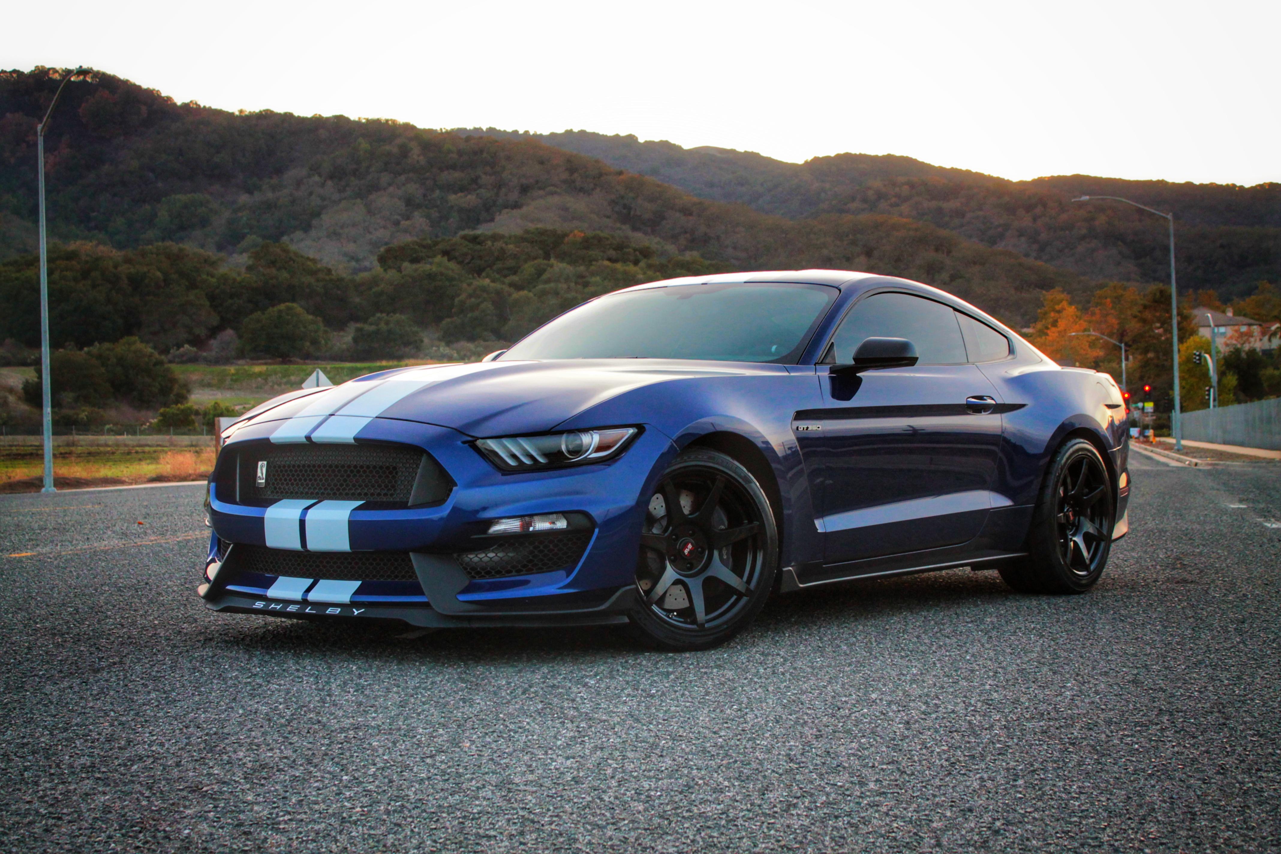 My Supercharged Shelby GT350 [OC] [4272x2848] carporn