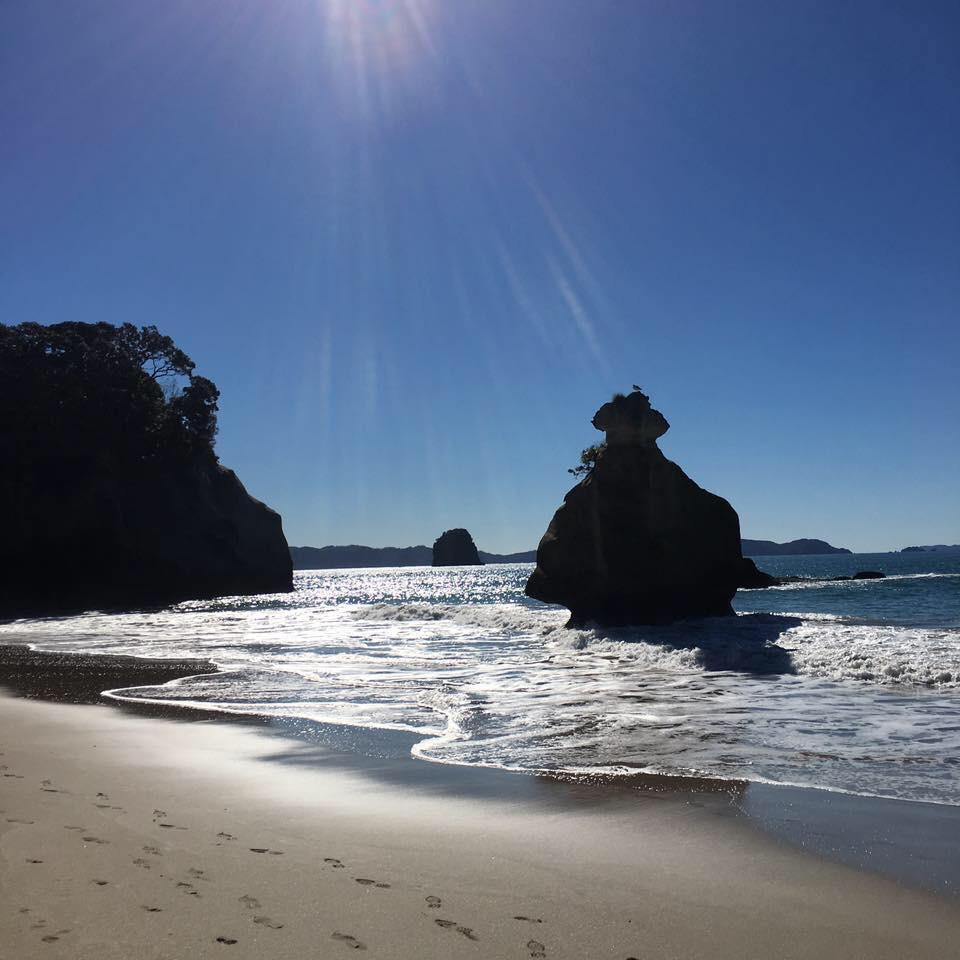 Taken at cathedral cove, New Zealand. r/newzealand