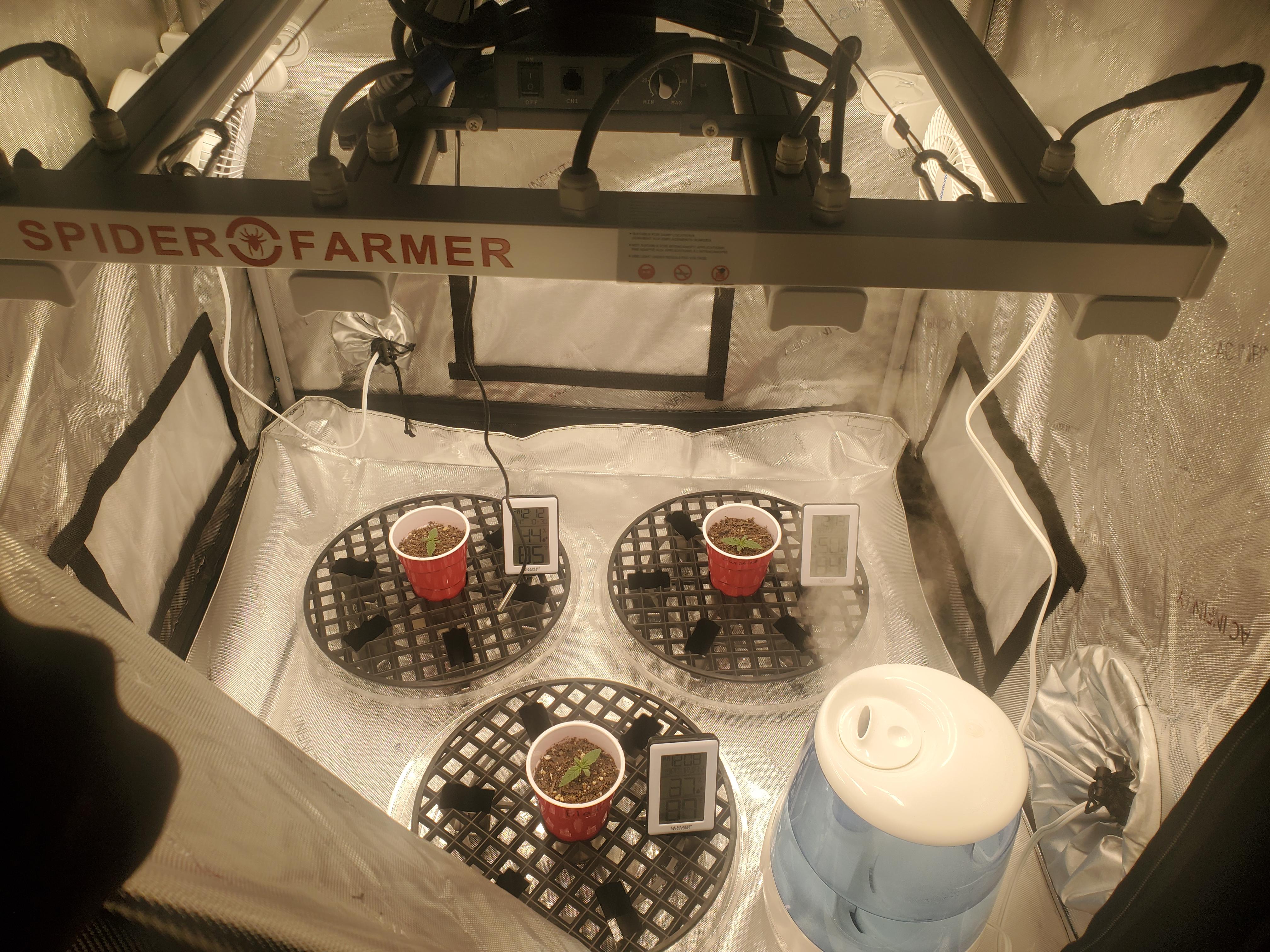 One week in and can't keep the tempts below 80 and the humidity above