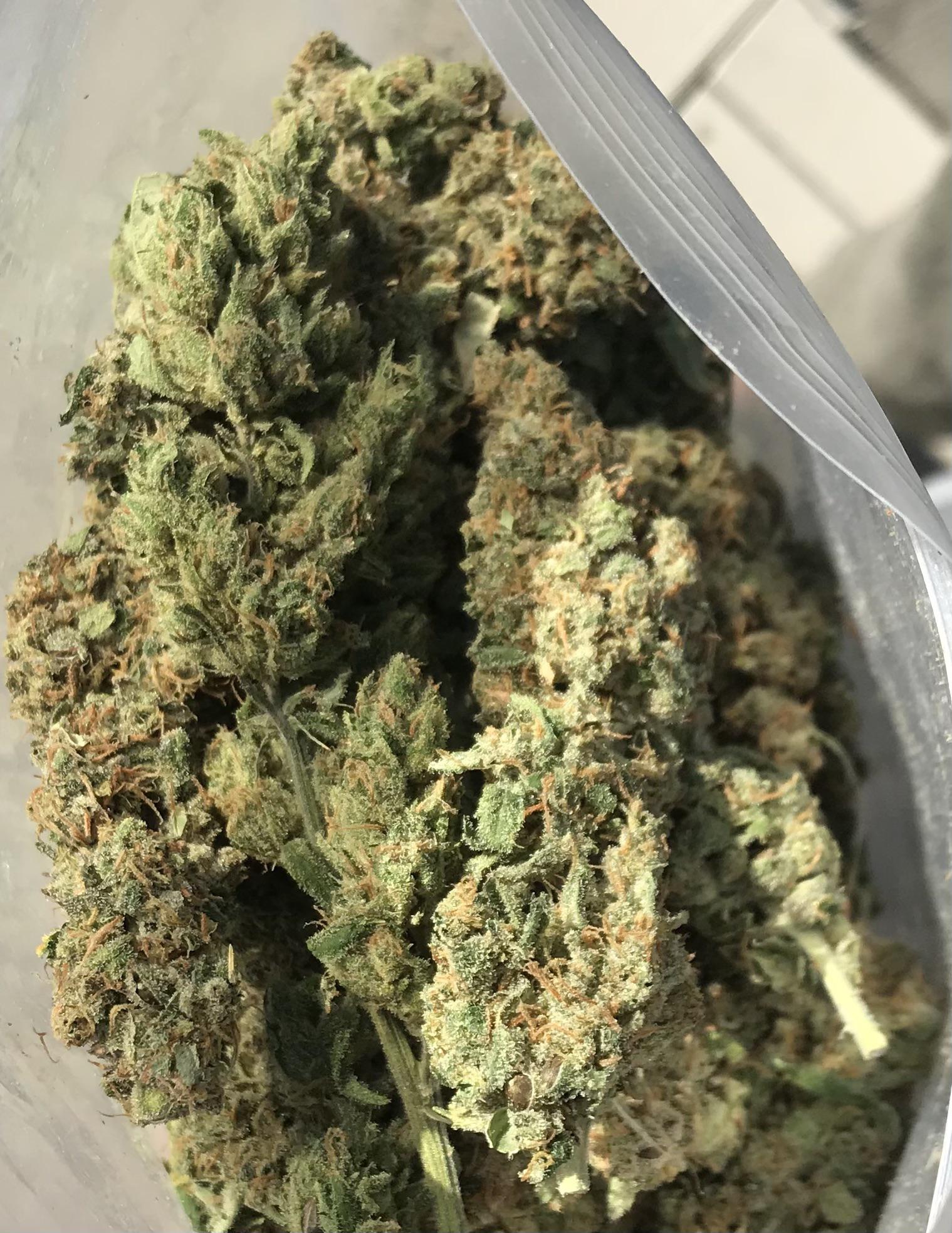 Seeds in Hemp Flower? r/hempflowers