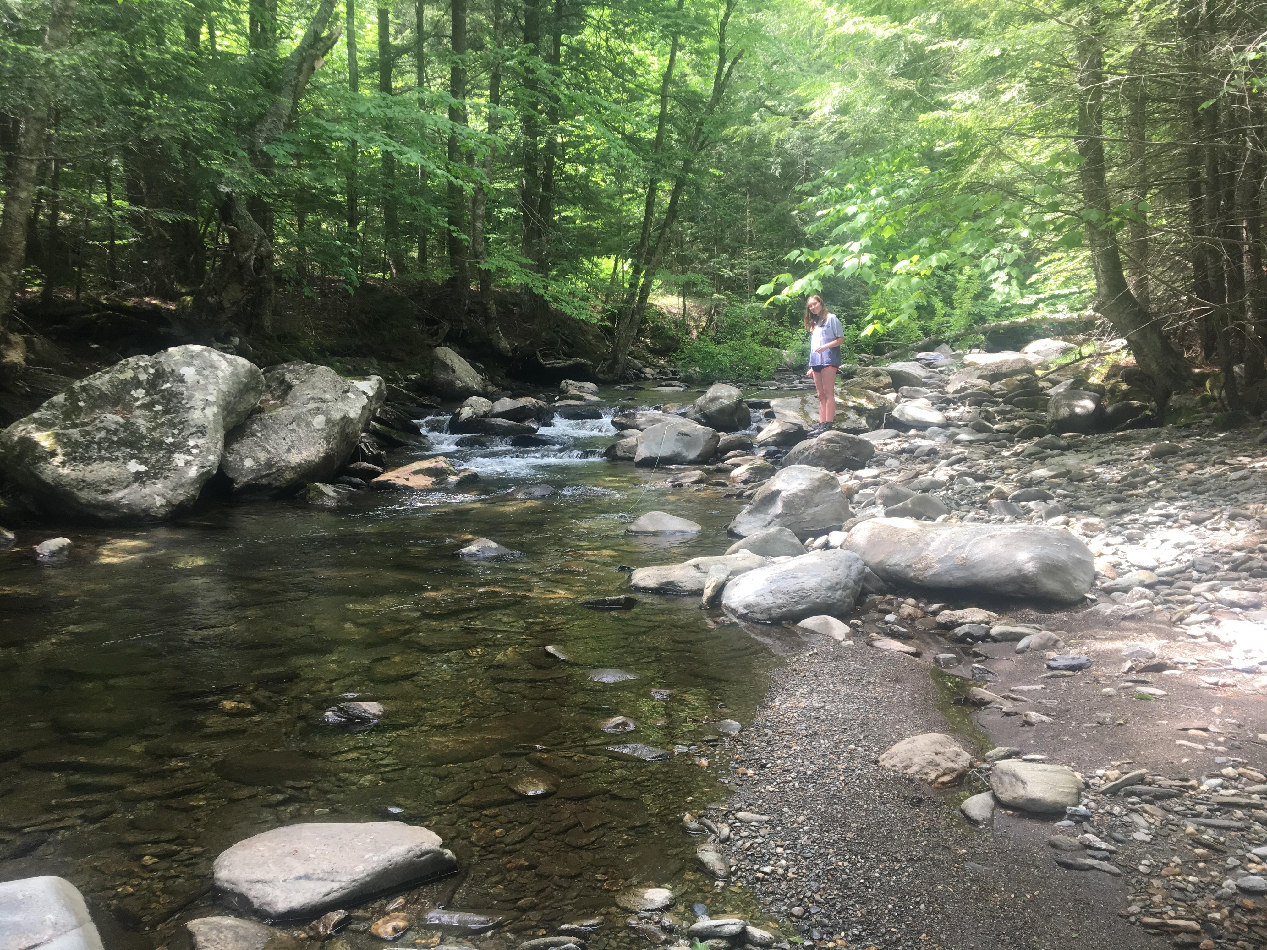 Chasing Vermont Brook trout with my daughter on Father’s Day. r
