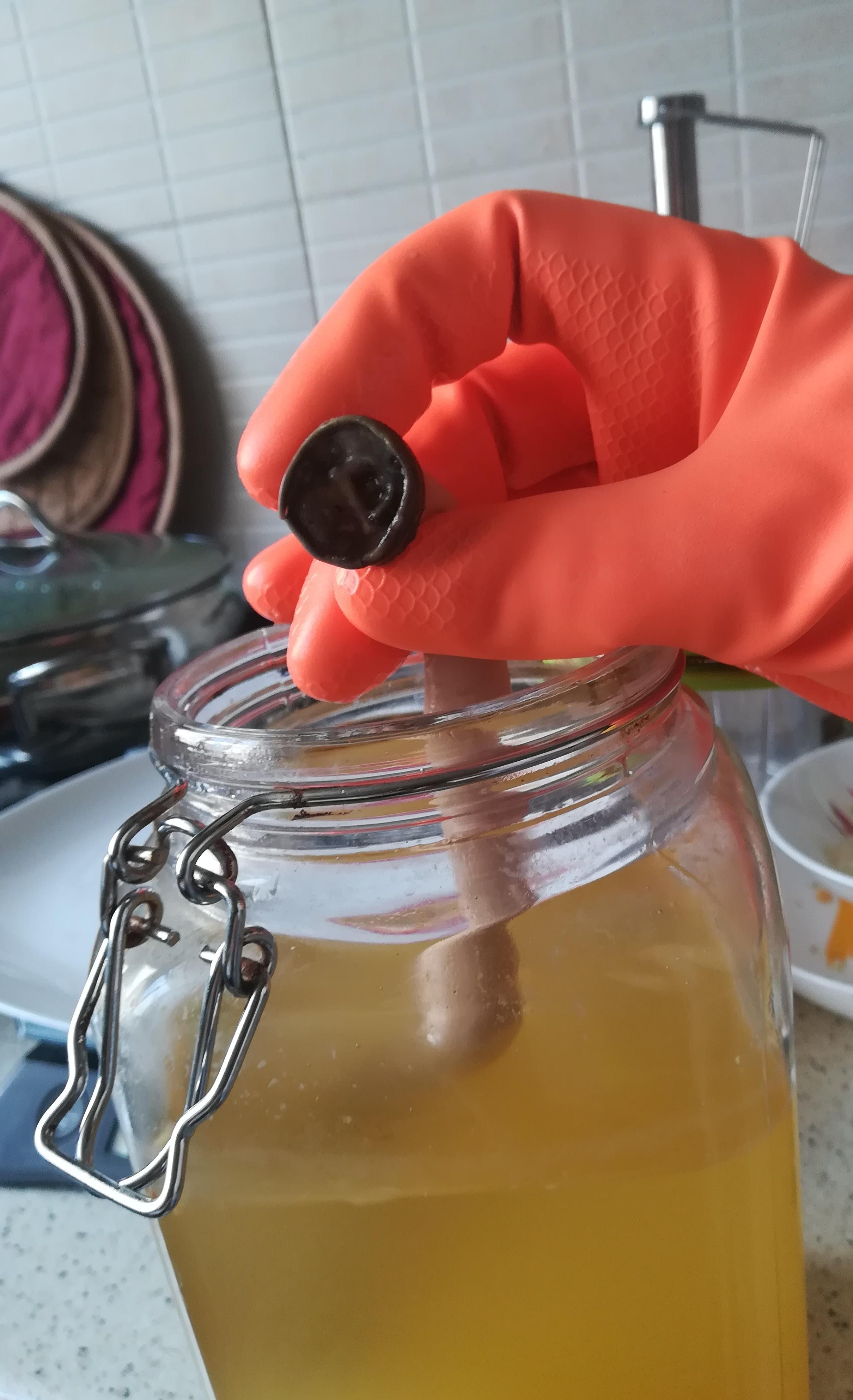 Update on Mr. Yeasty and New Photos (See comments) MrYeasty