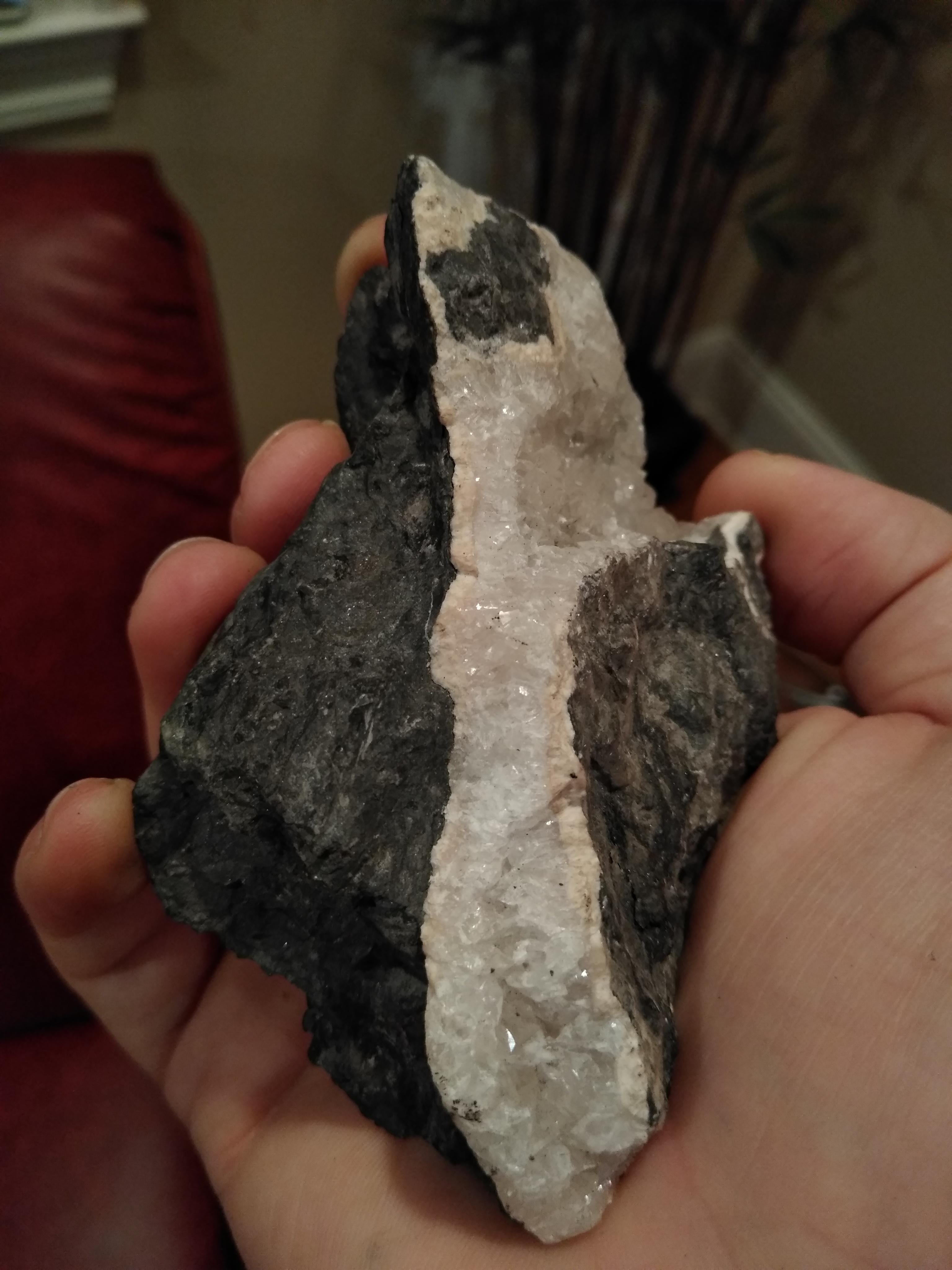Quartz vein in slate, found along a fault line near Birmingham, AL r