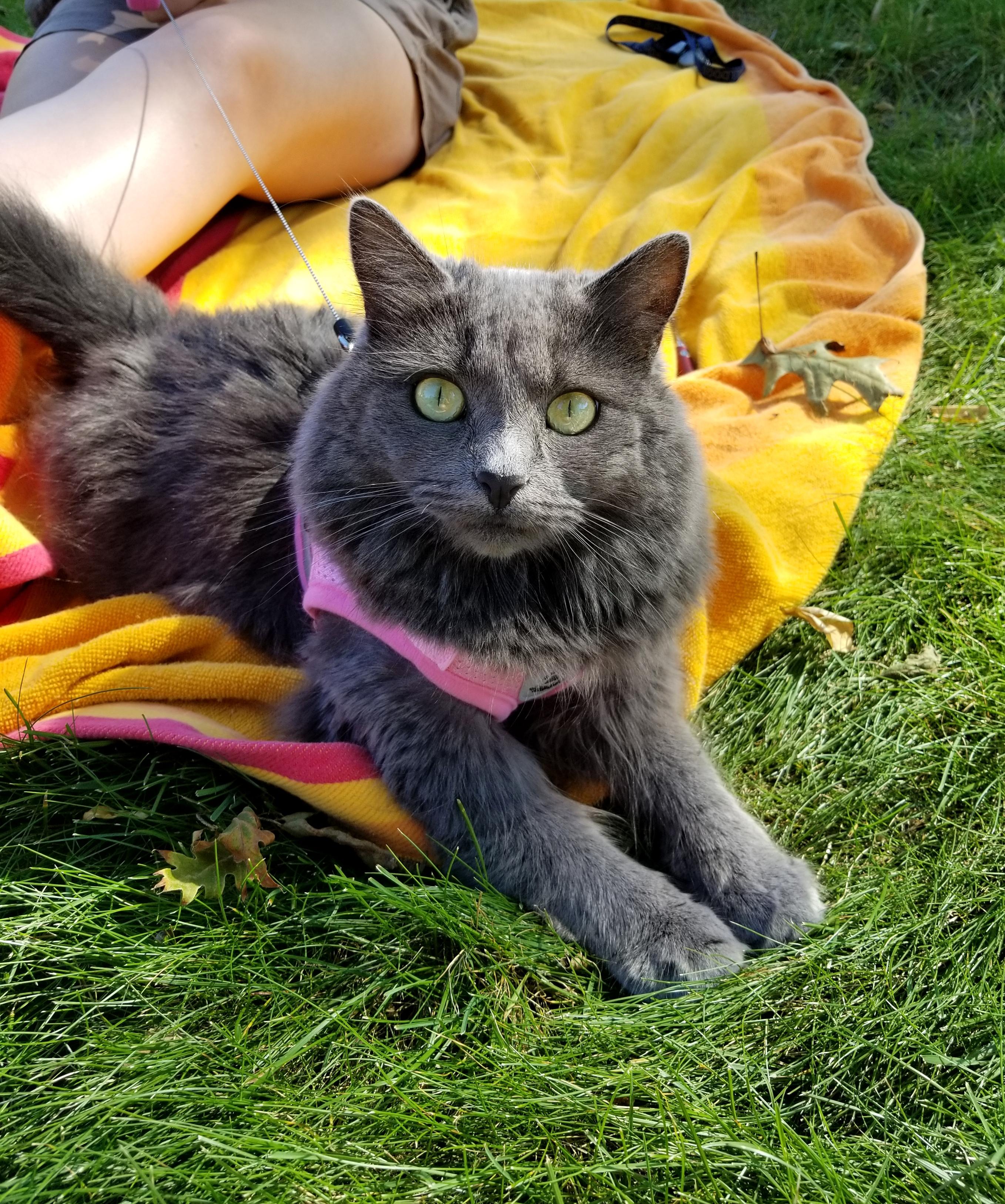 I made a new friend in my development the other day! Now I want to