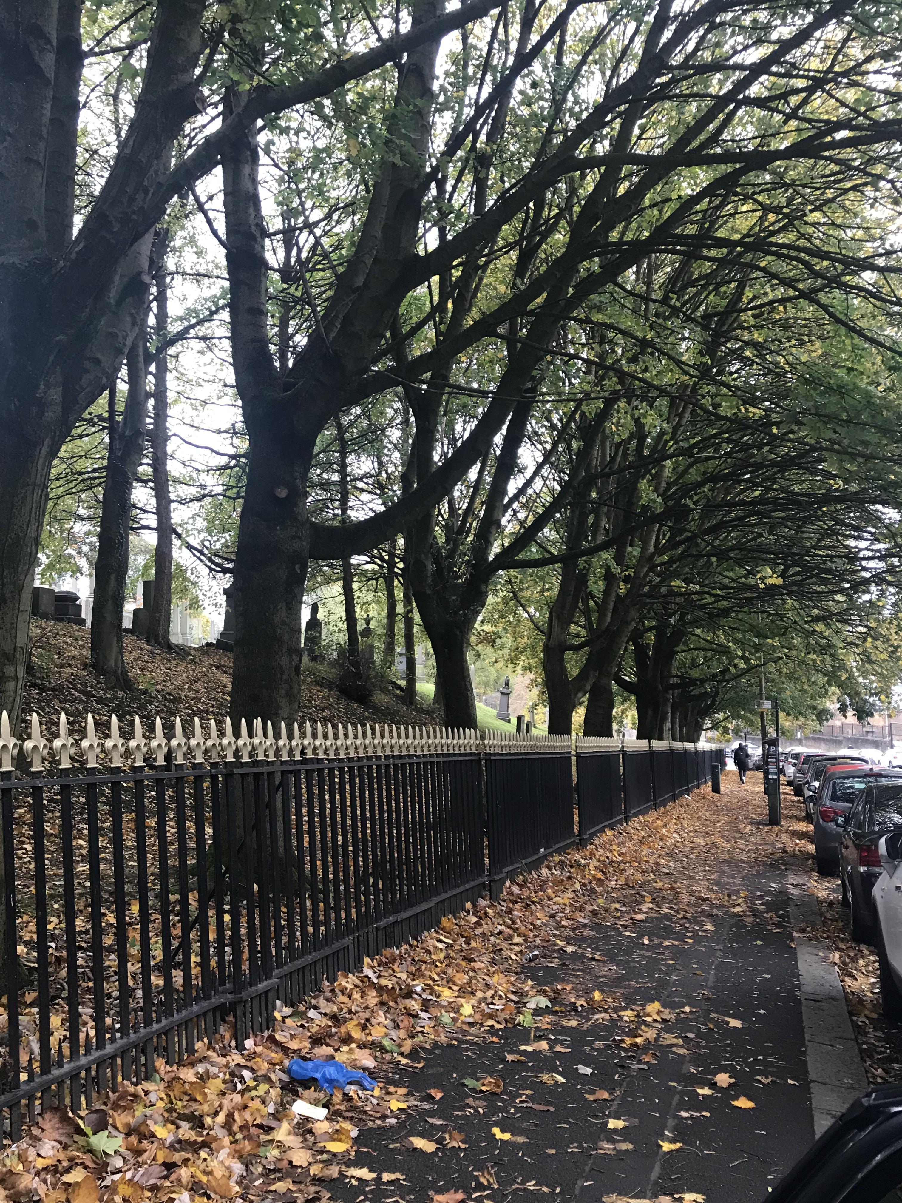 glasgow in the autumn, wishart street r/glasgow