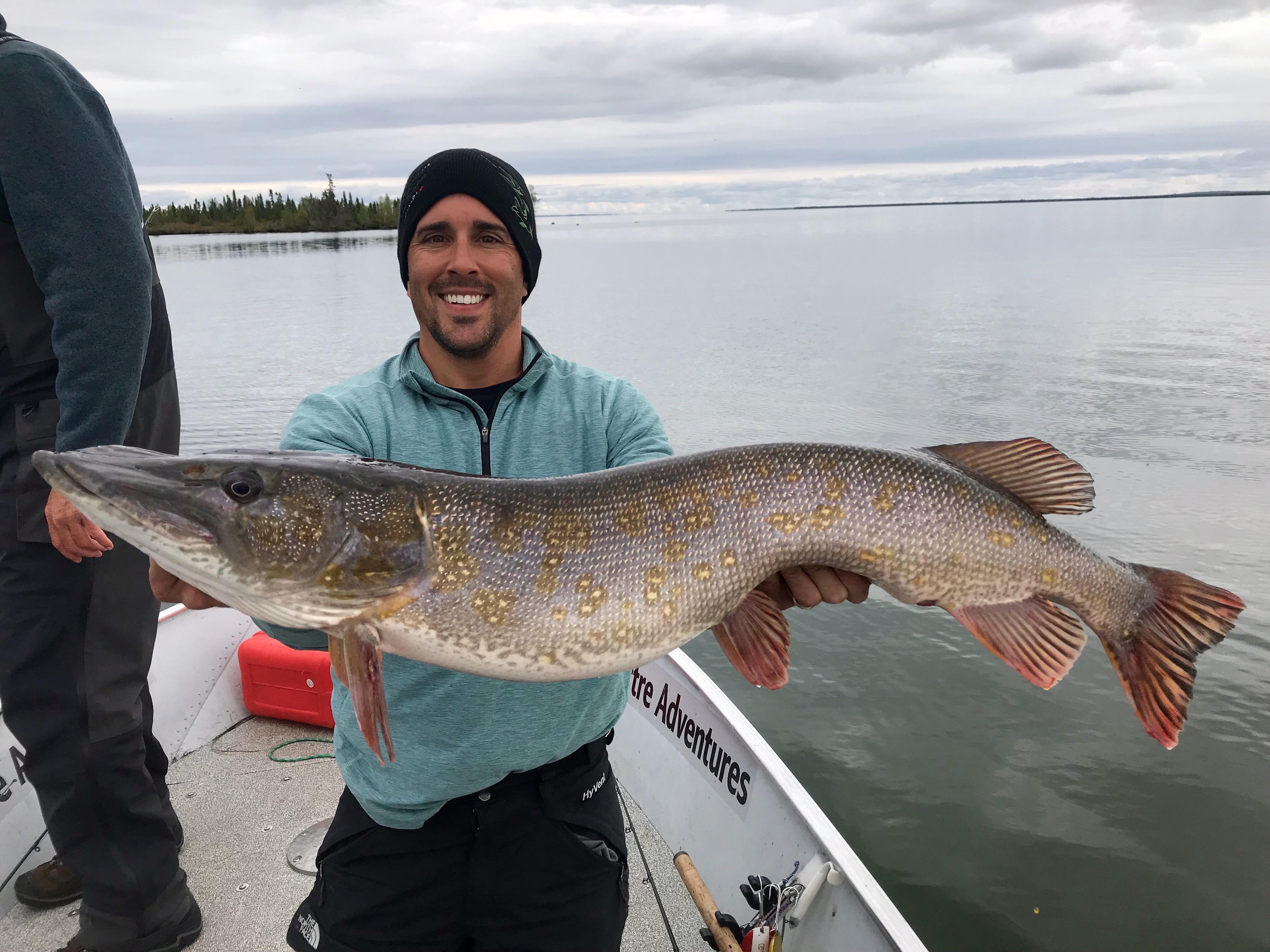 Cool Looking Northern Pike! r/Fishing
