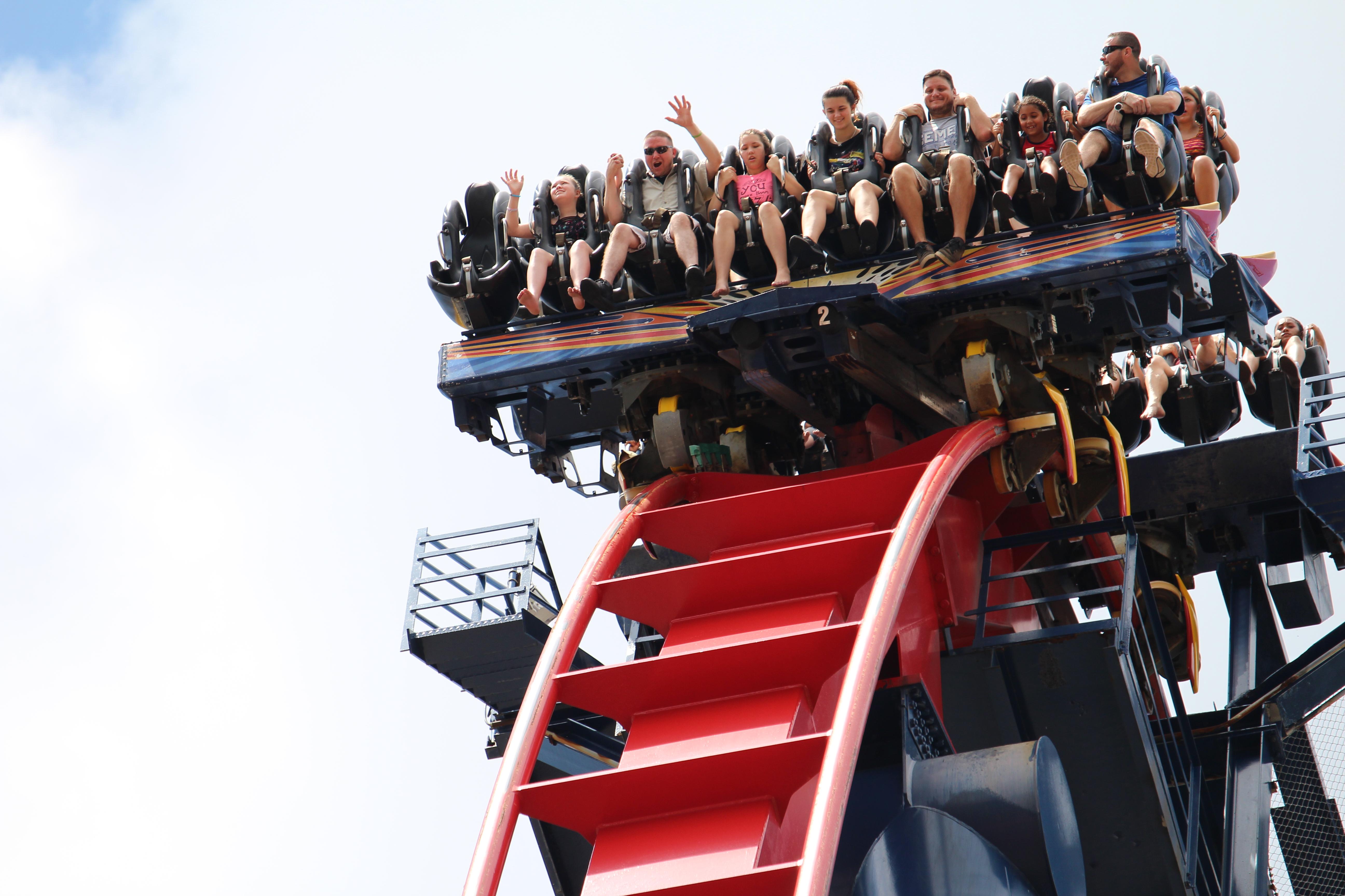 SheiKra at Busch Gardens Tampa r/rollercoasters