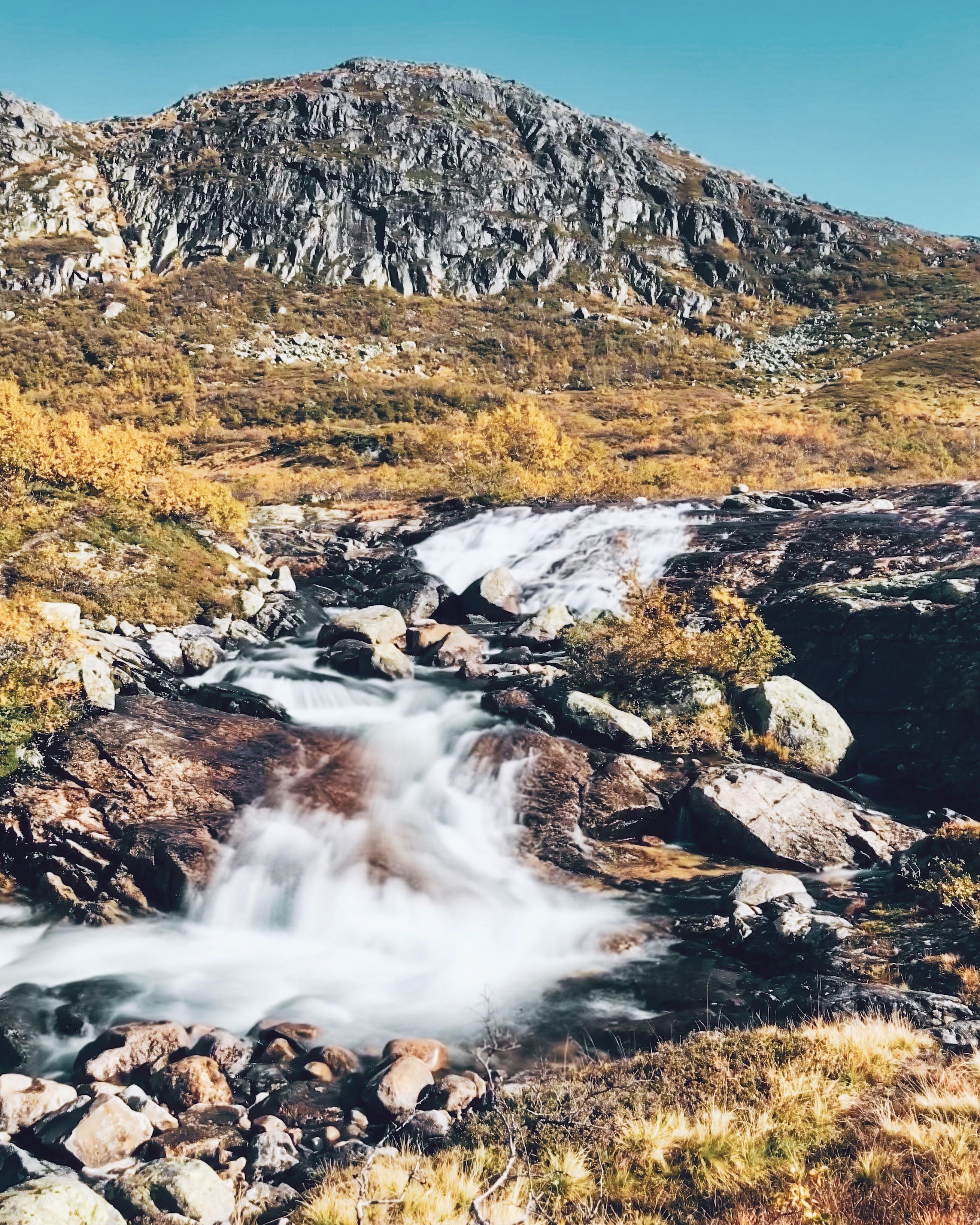 Hunting season [iPhone] r/Norway