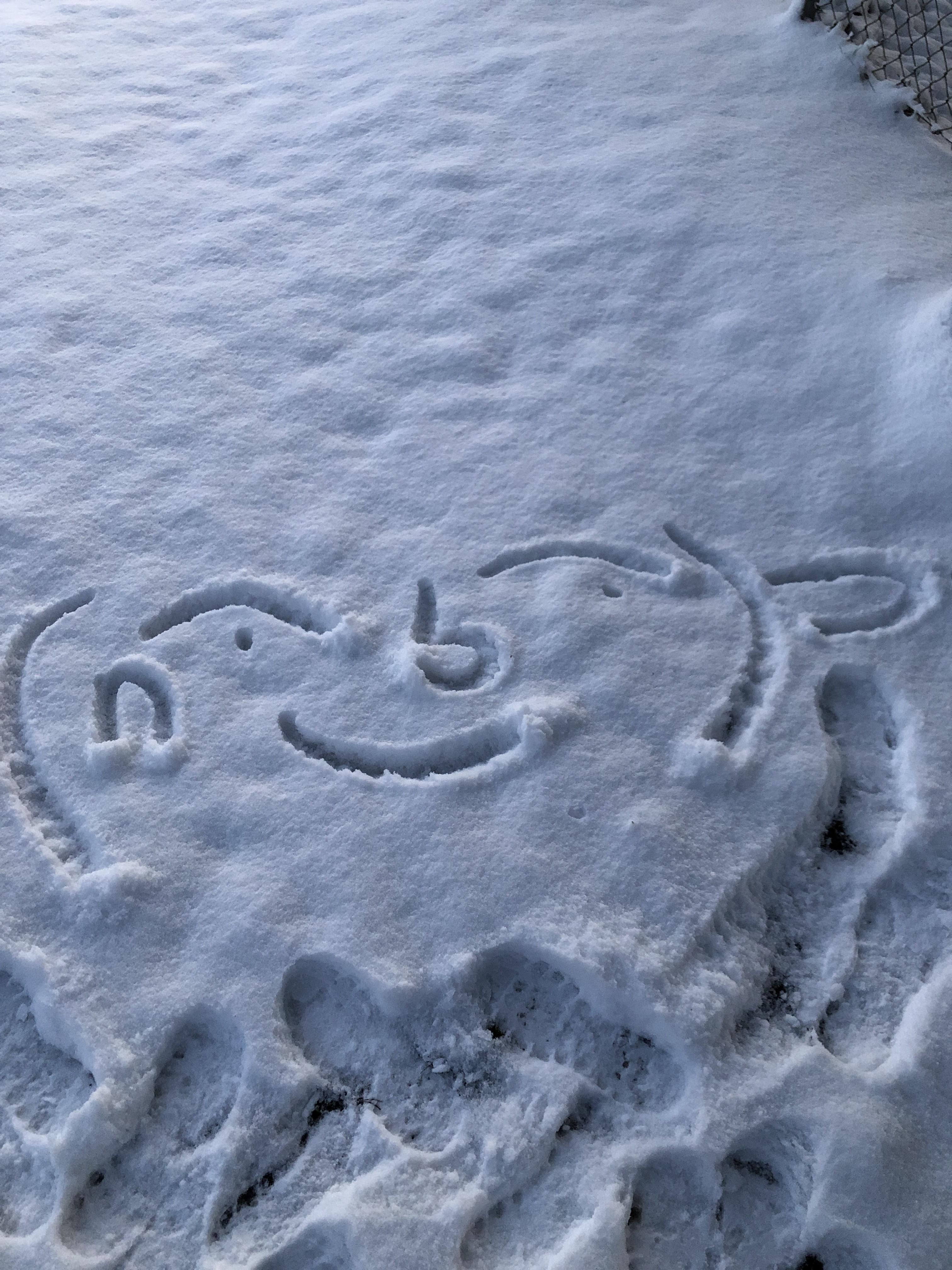 Some dank doodle memes on tha way Dankdoodlememes