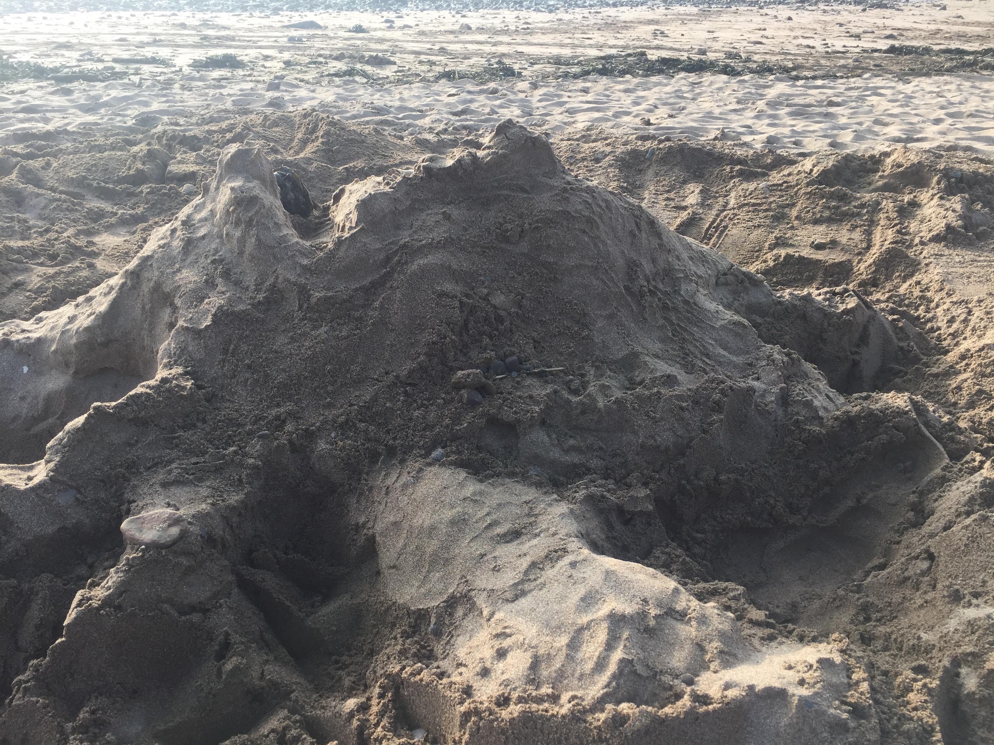 We built this sand castle for about an hour and a half, ten seconds after we left it , some kids
