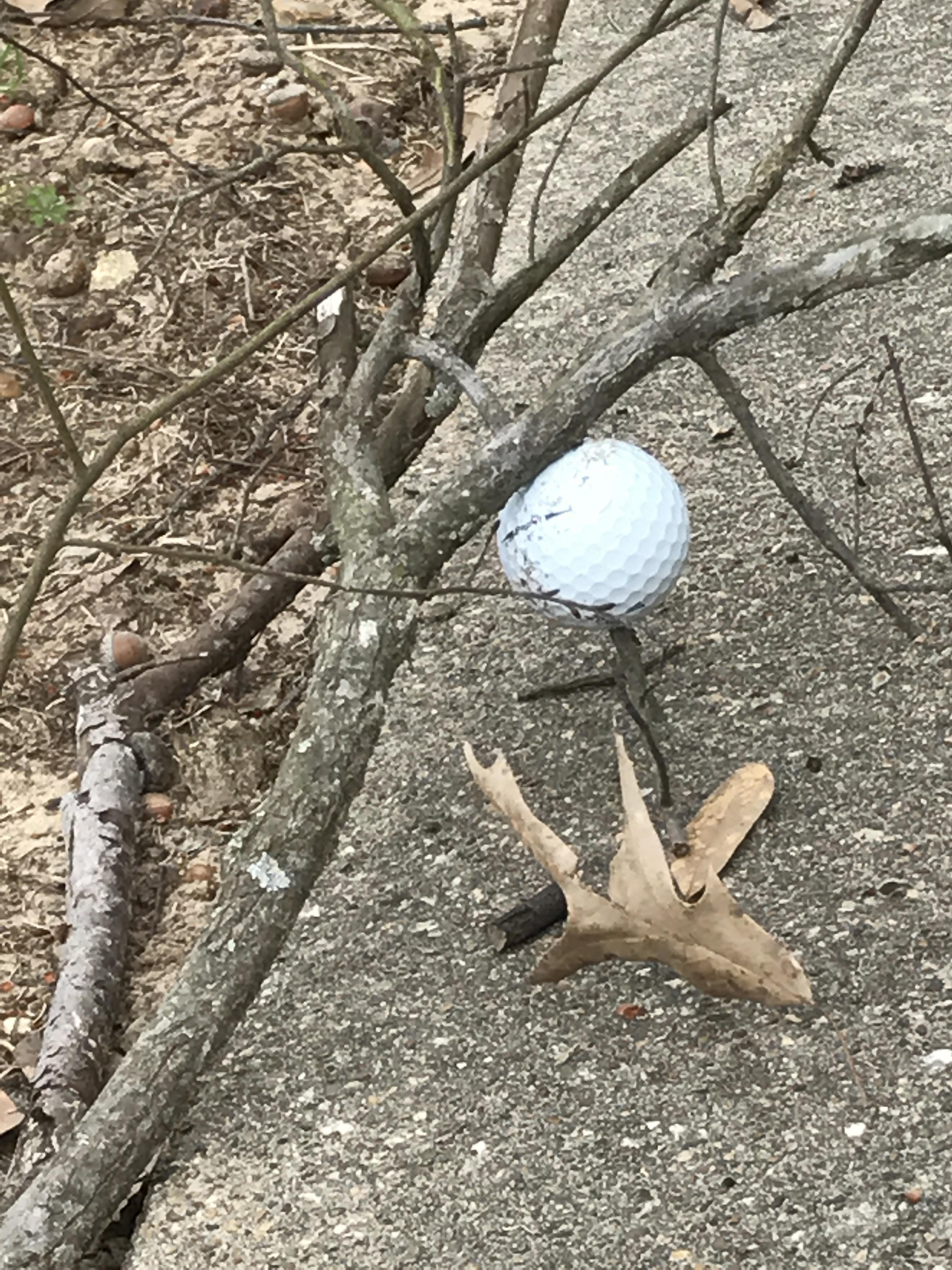 I see your golf balls stuck in weird places and I raise you, stuck in a