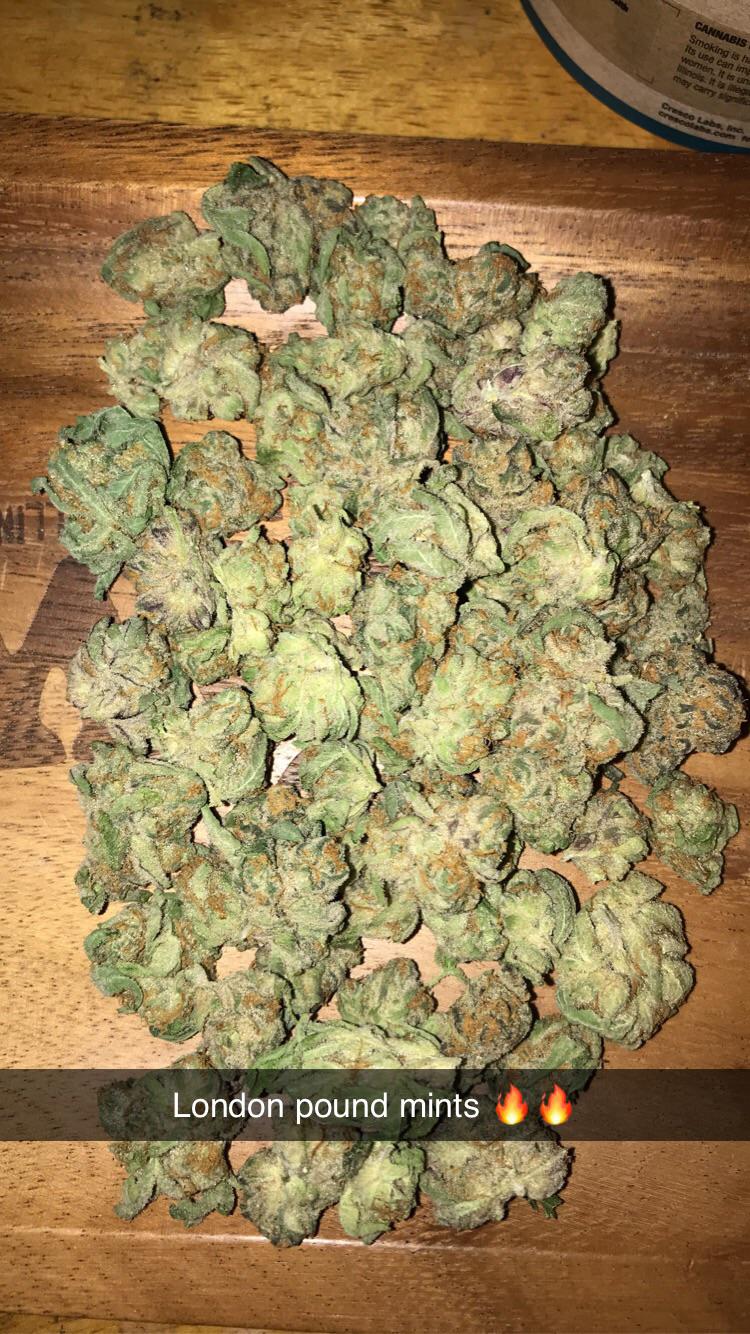 High Supply London Pound Mints Popcorn Half 🔥🔥 r/ILTrees