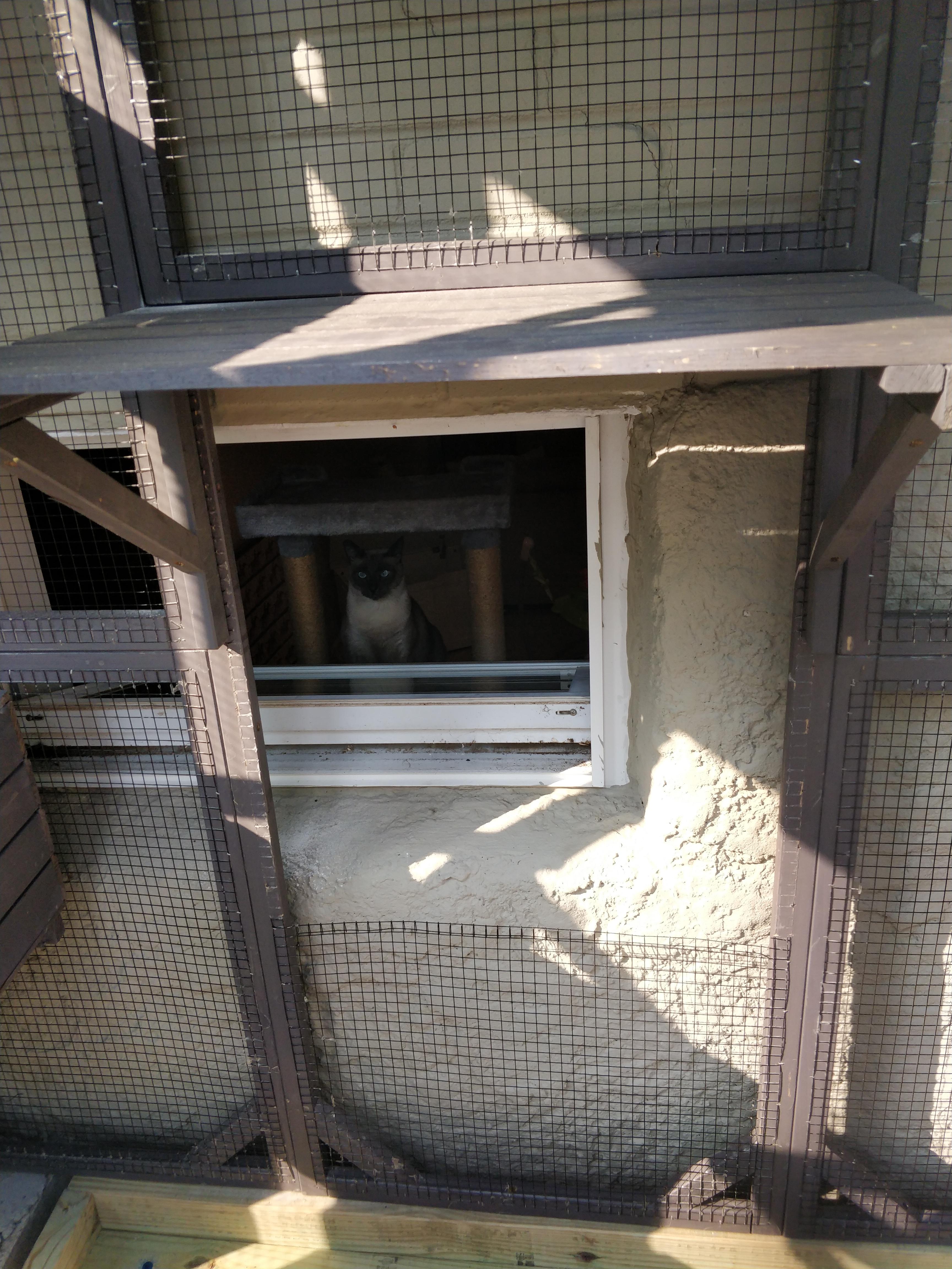 What to do with basement window r/Catio