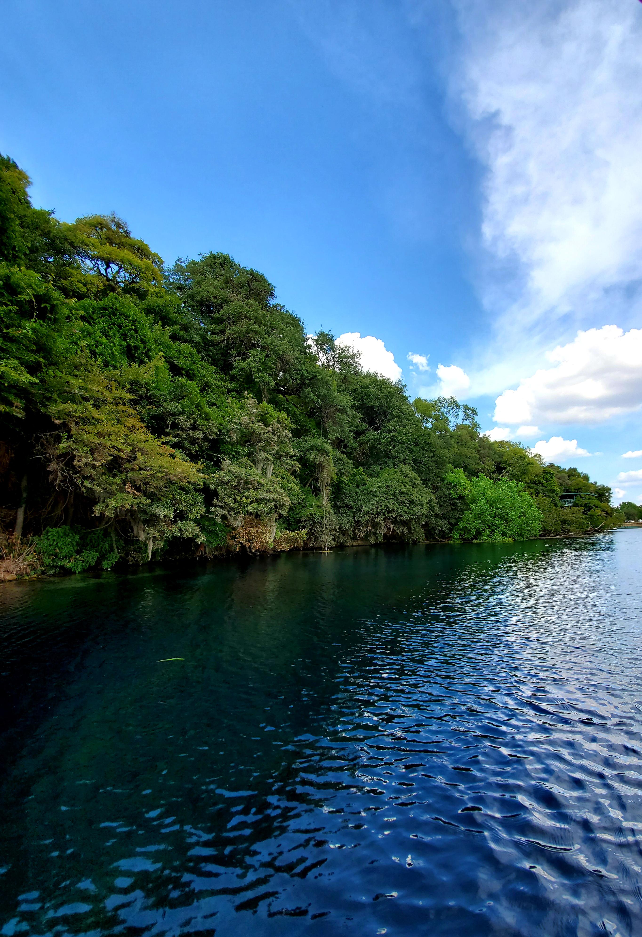 Spring Lake, San Marcos! r/texas