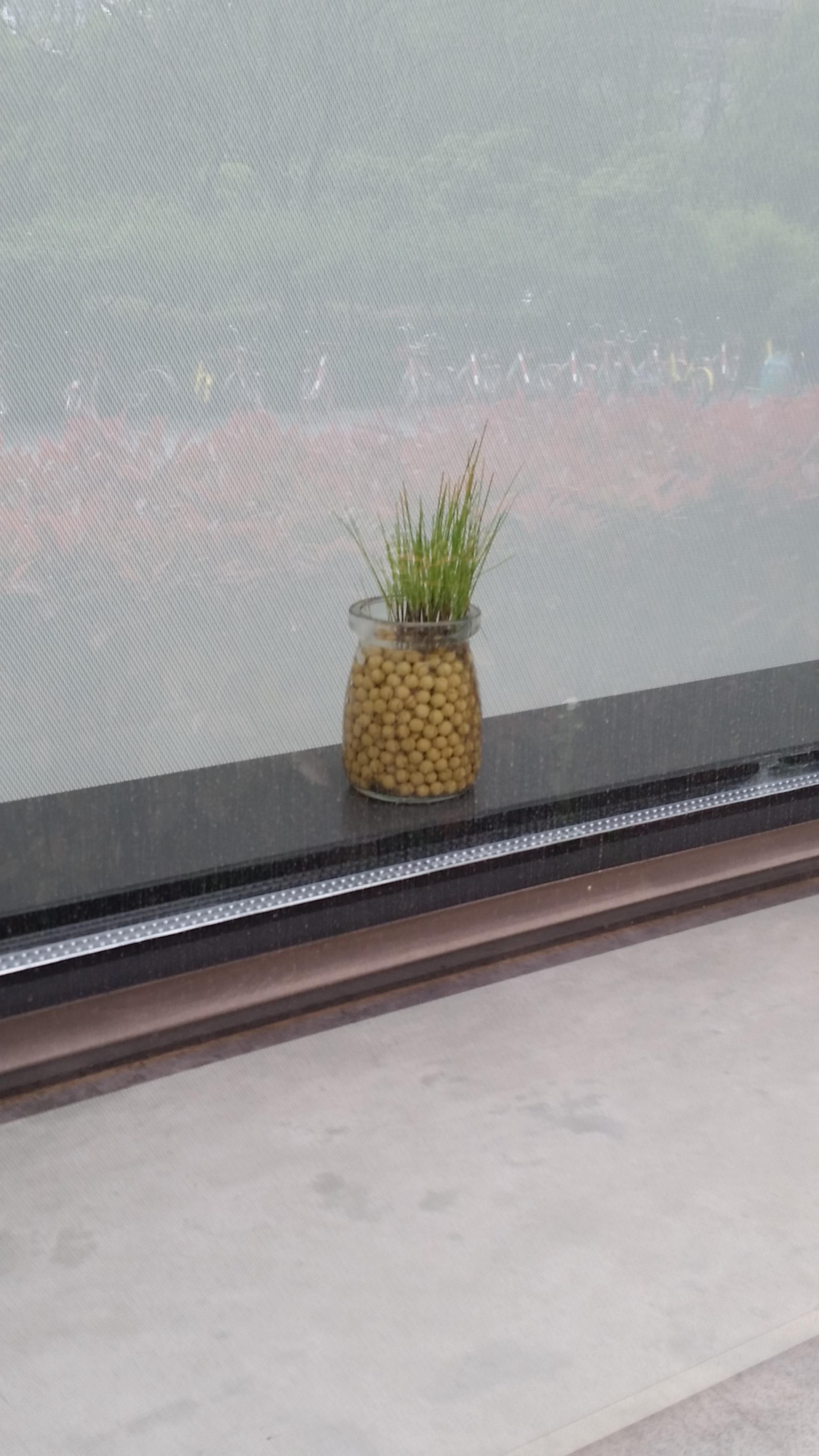 Spongebob Muffler House