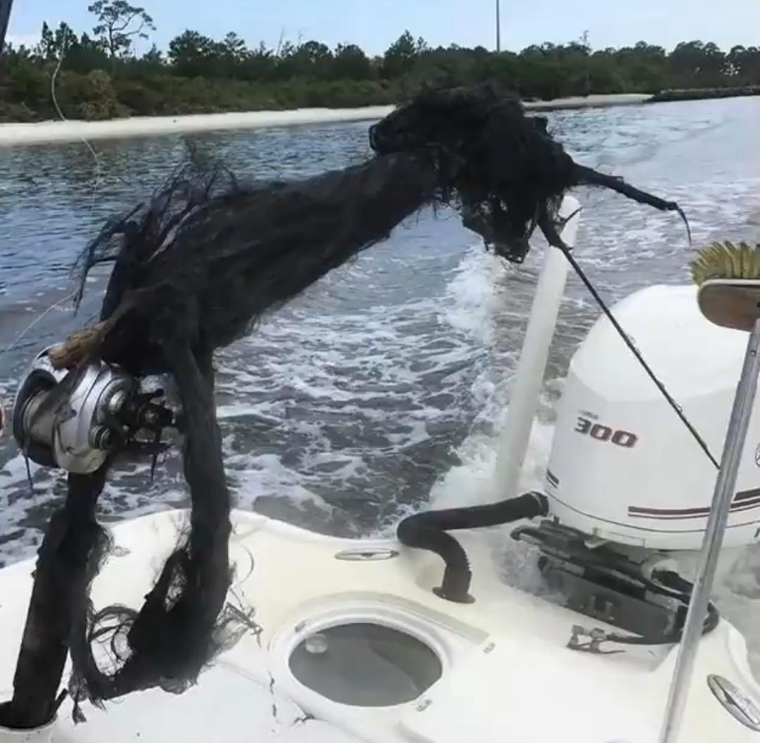Lightning struck this fishing rod interestingasfuck