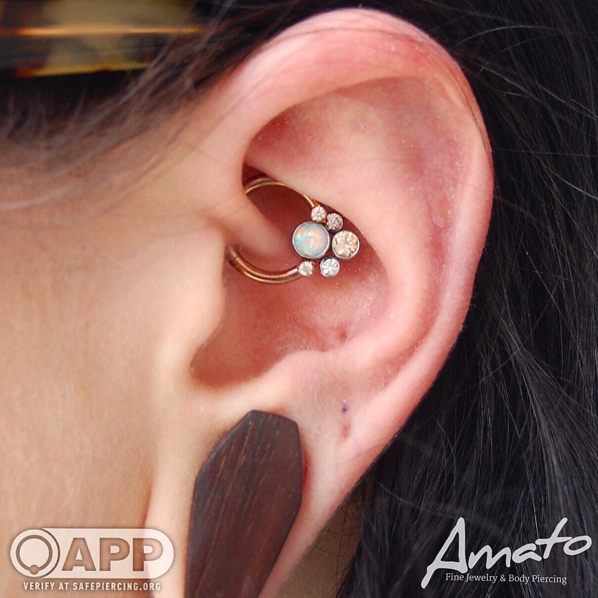 Fresh daith with an Anatometal cluster from Joe at Amato piercing