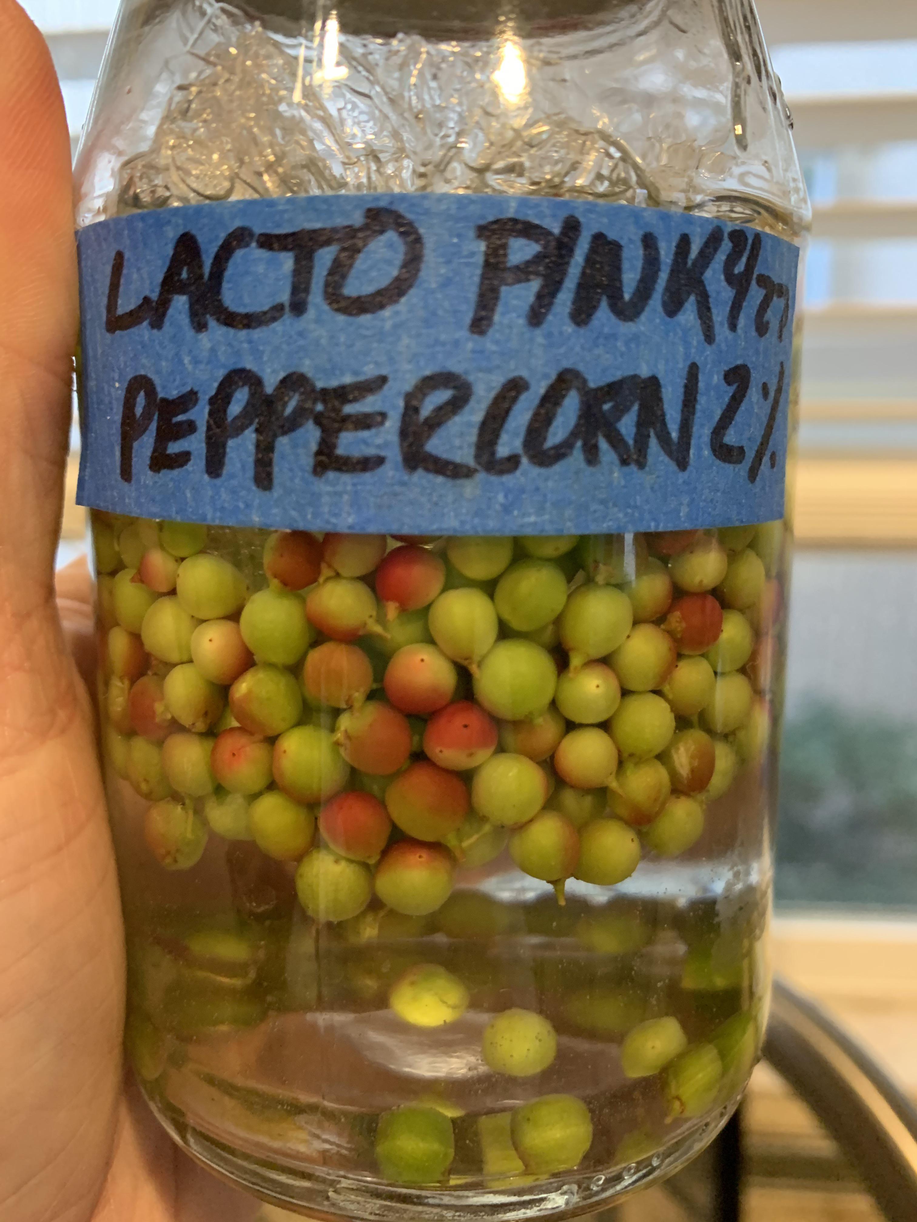 Lacto Fermented Pink Peppercorns r/fermentation