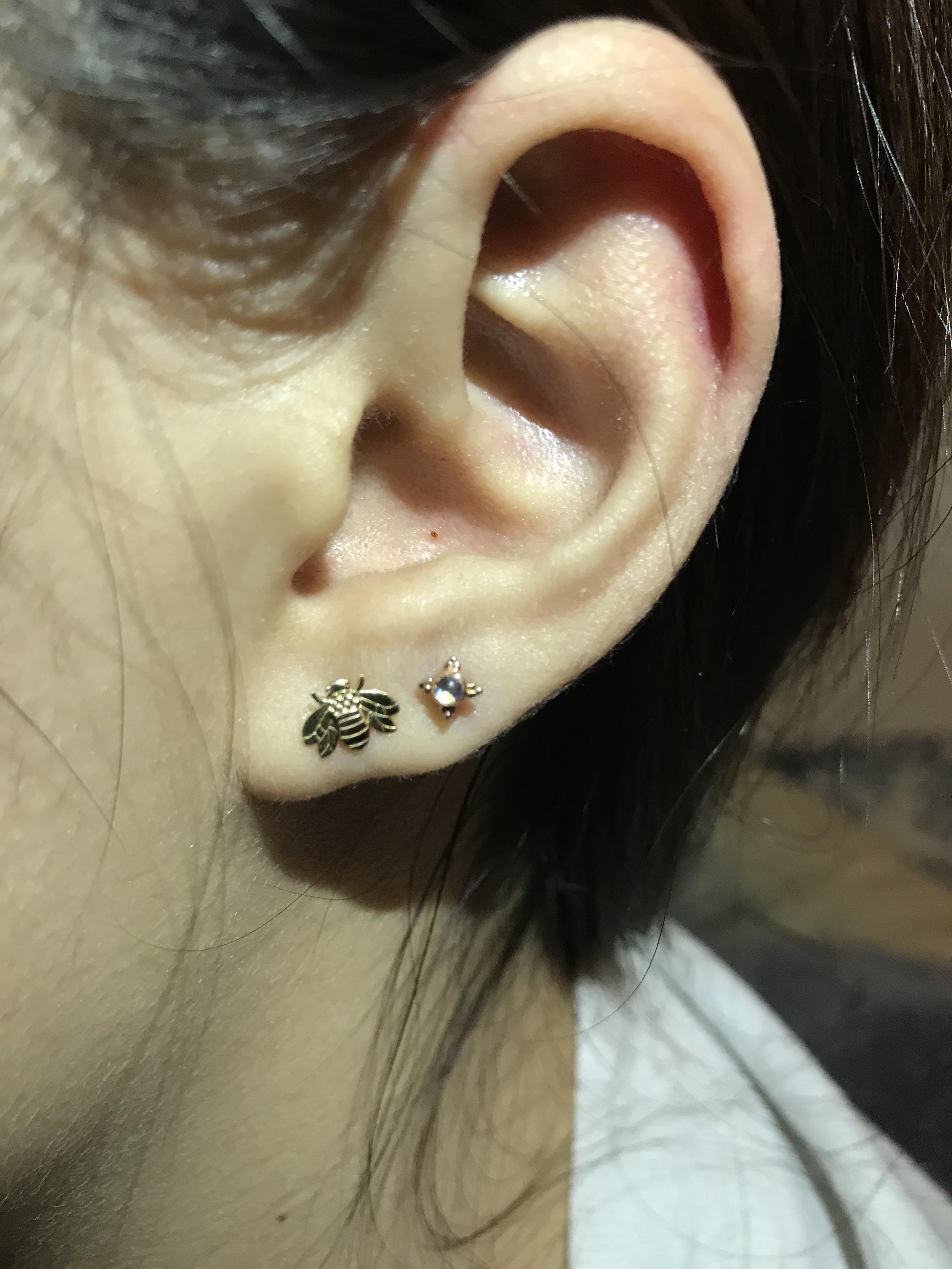 Finished the semester w/a 4.0 so I treated myself to a second lobe