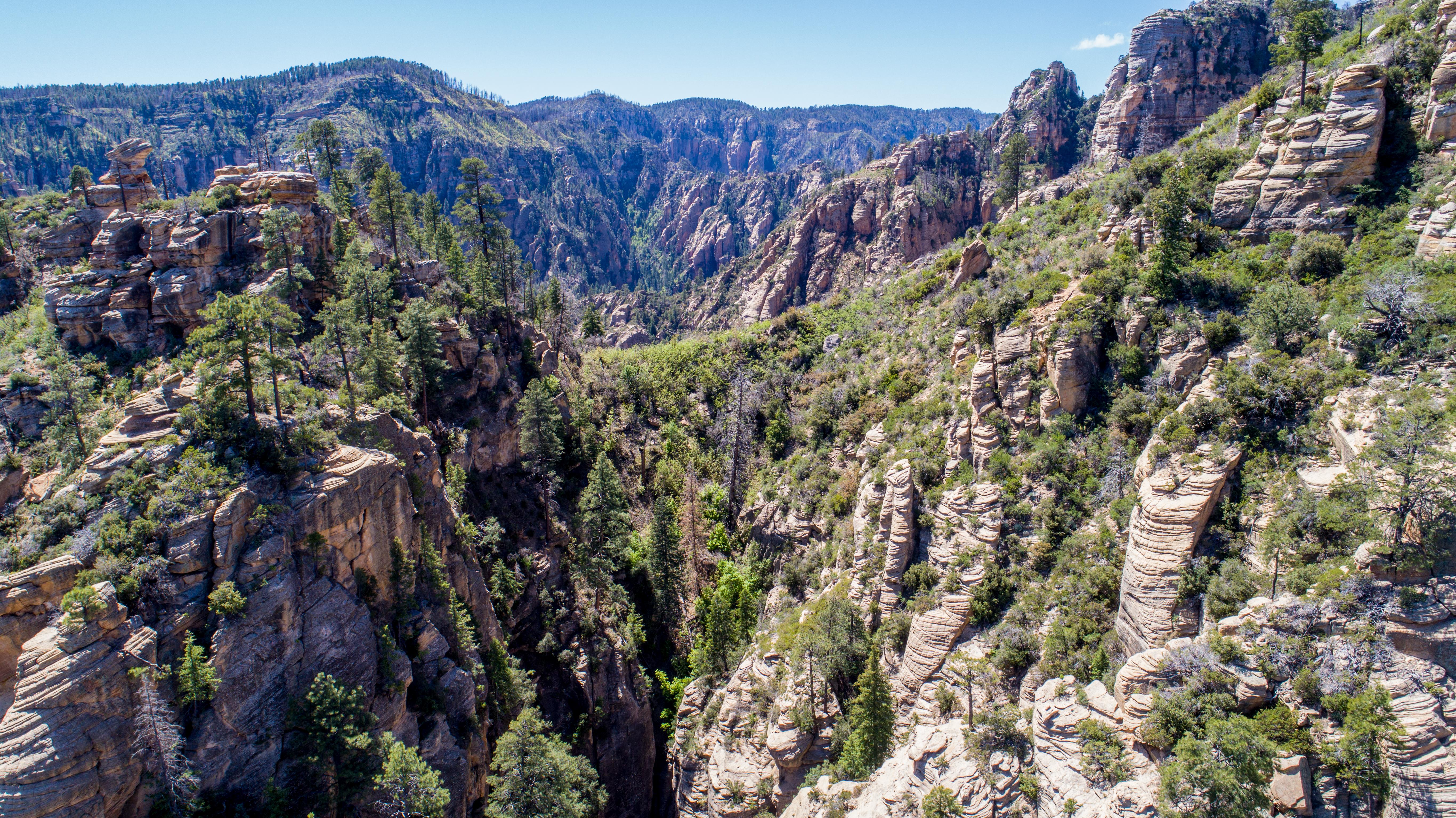 Visited Oak Creek Canyon North of Sedona, AZ [OC] [5464x3070] r/EarthPorn