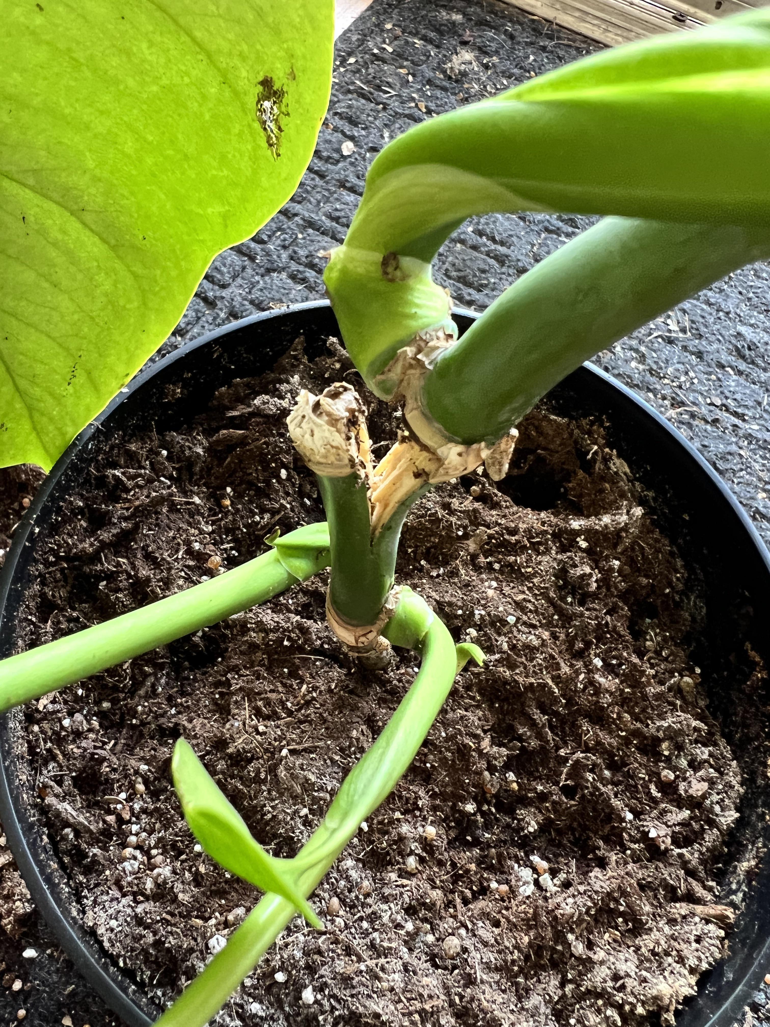 What’s the best course of action? Came to my work to find my 3 year old