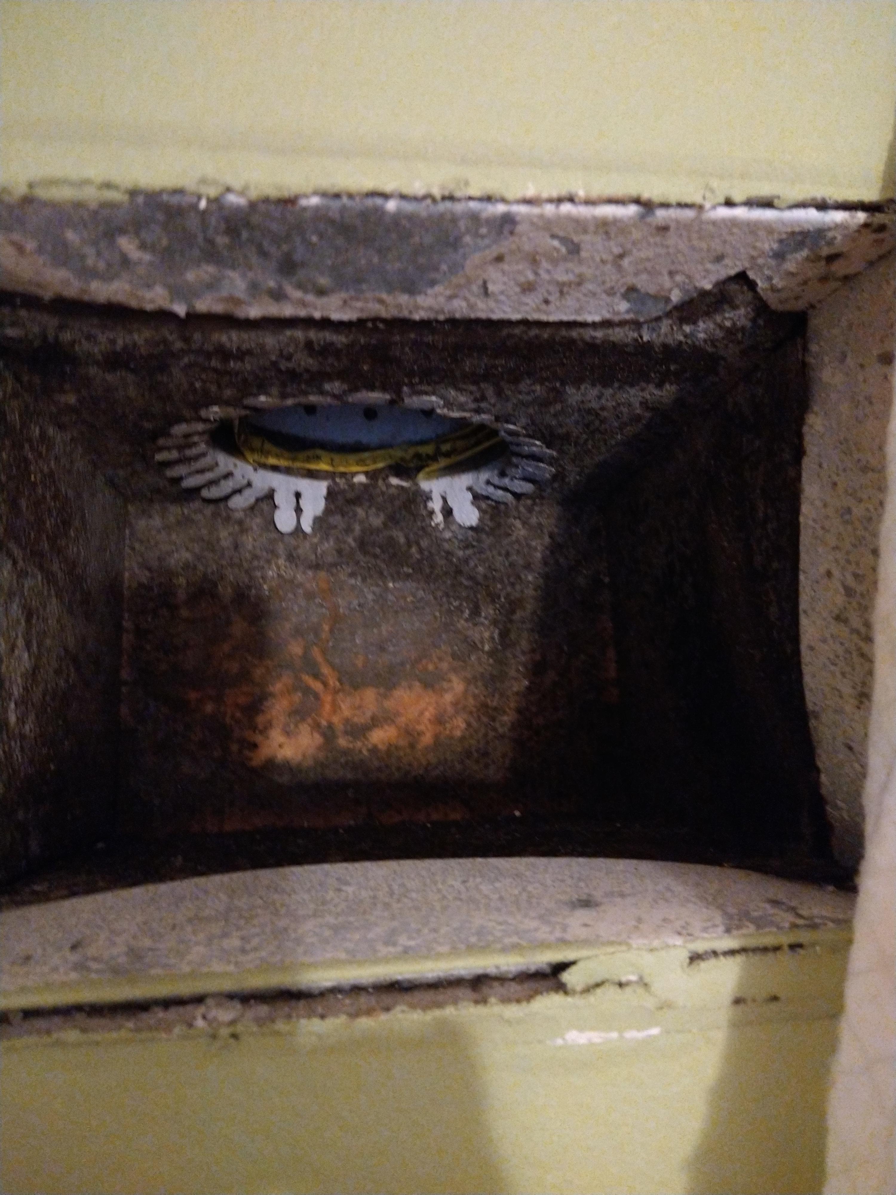 Please help, I don't know what to do next! I live in Florida, and knew