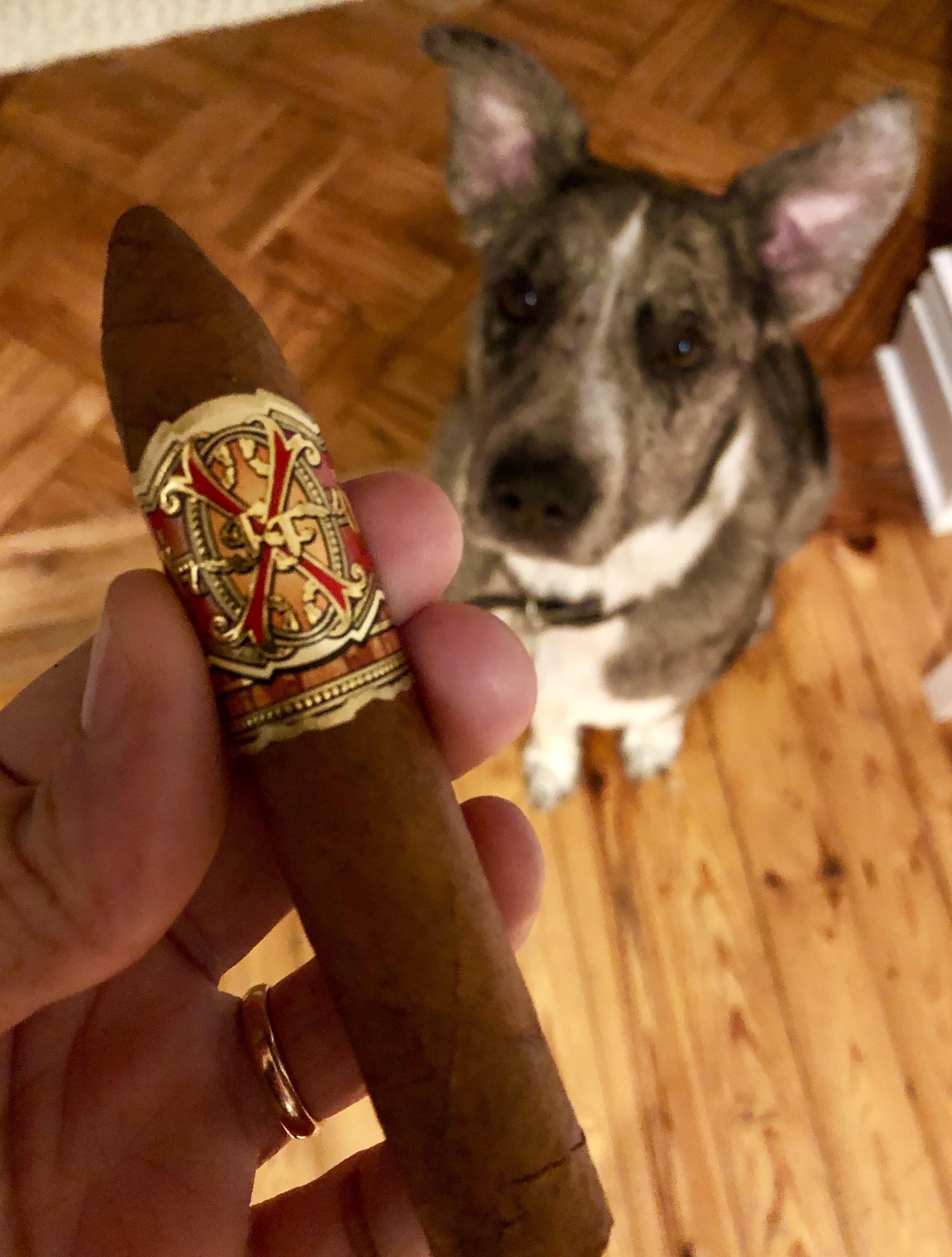 One Hell of a Dog Walker r/cigars