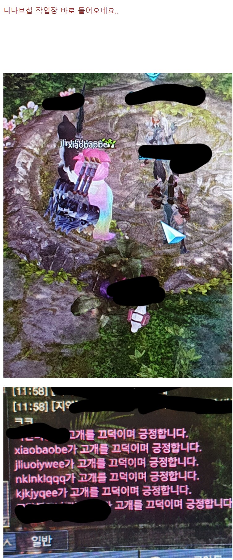 Bard vs Paladin lostarkgame