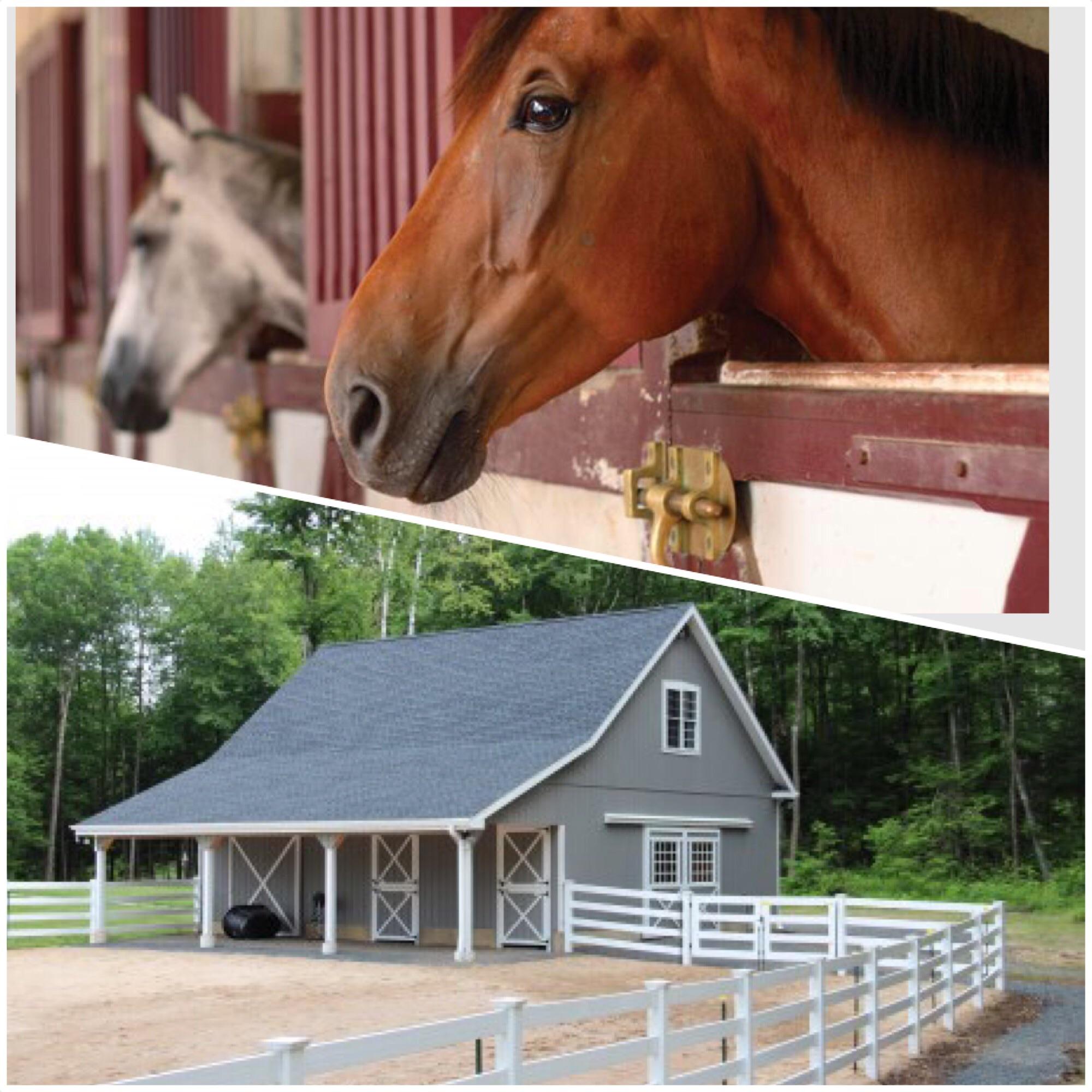Suggestion add a horse apartment with stables, we can ride a walking