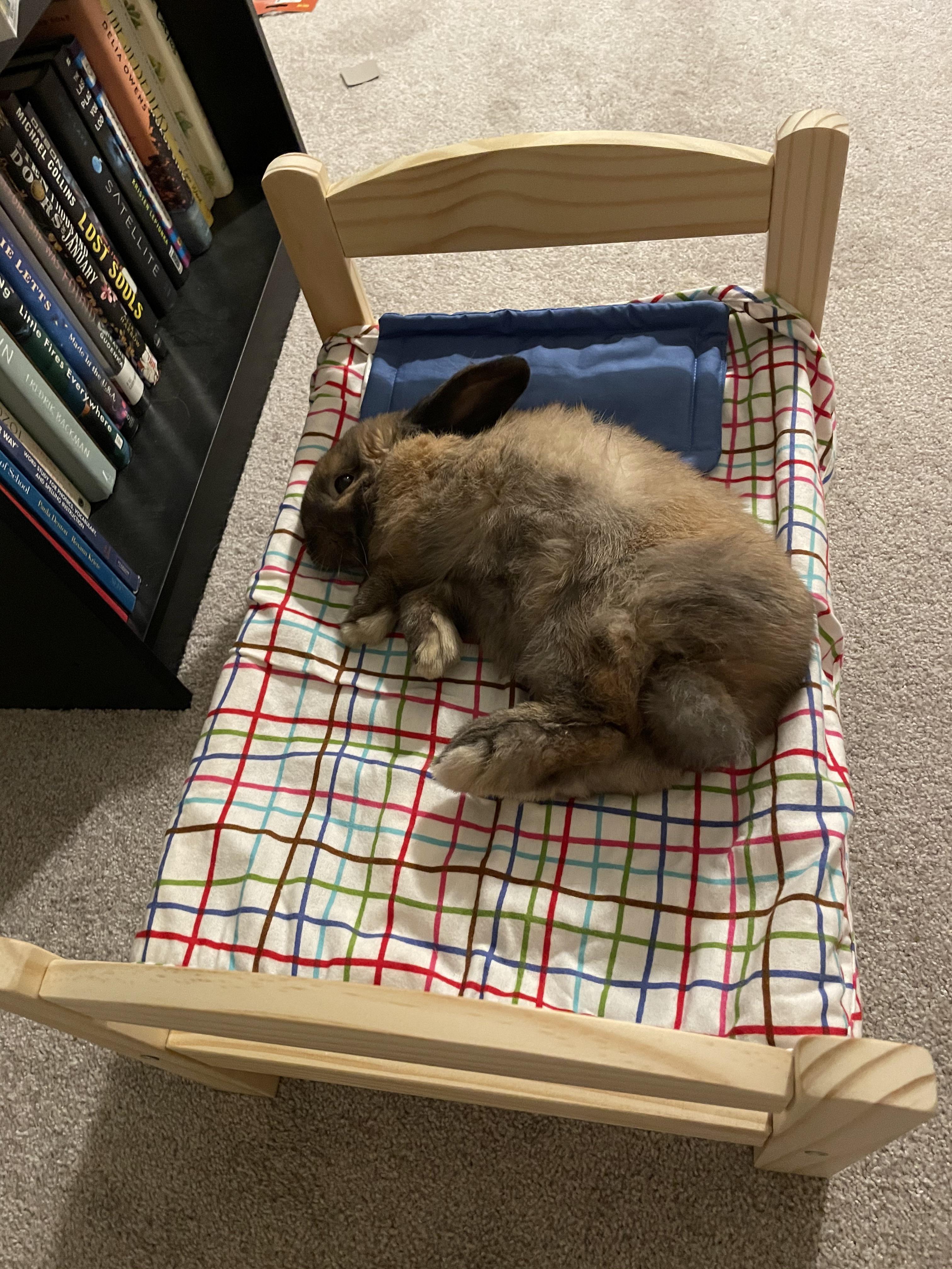 Finally got Wade an Ikea bed...I think he likes it... r/Rabbits