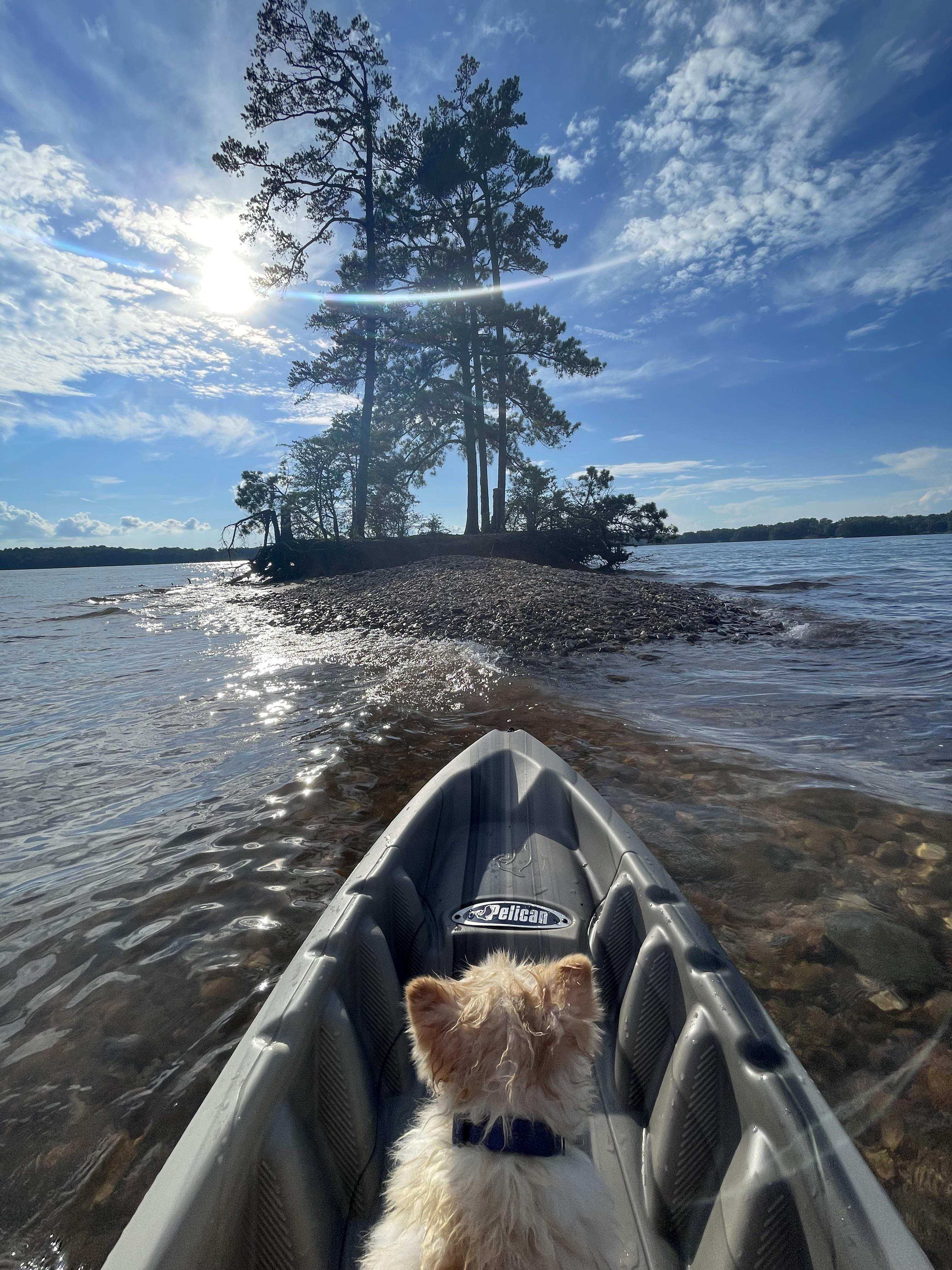 I found an island with my dog. r/pics