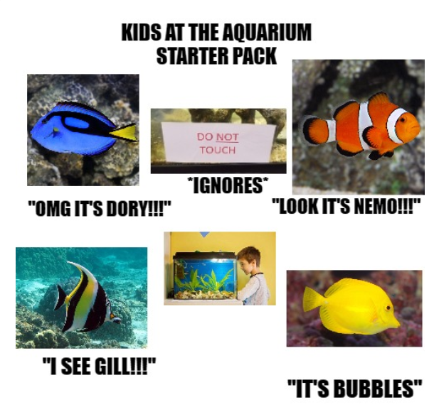 Kids at the aquarium starter pack r/starterpacks