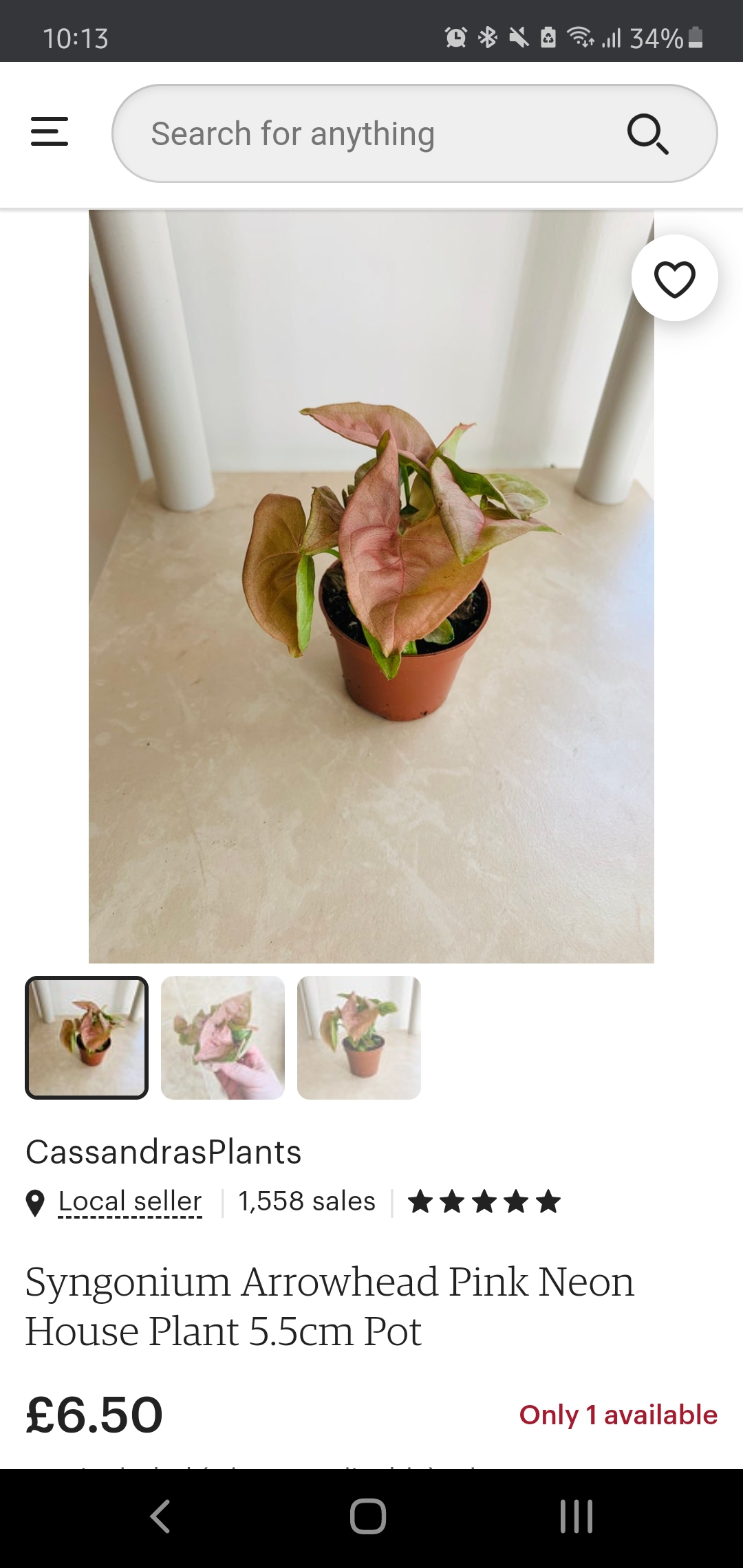 Where to buy small cheap houseplants? Looking to add some less common