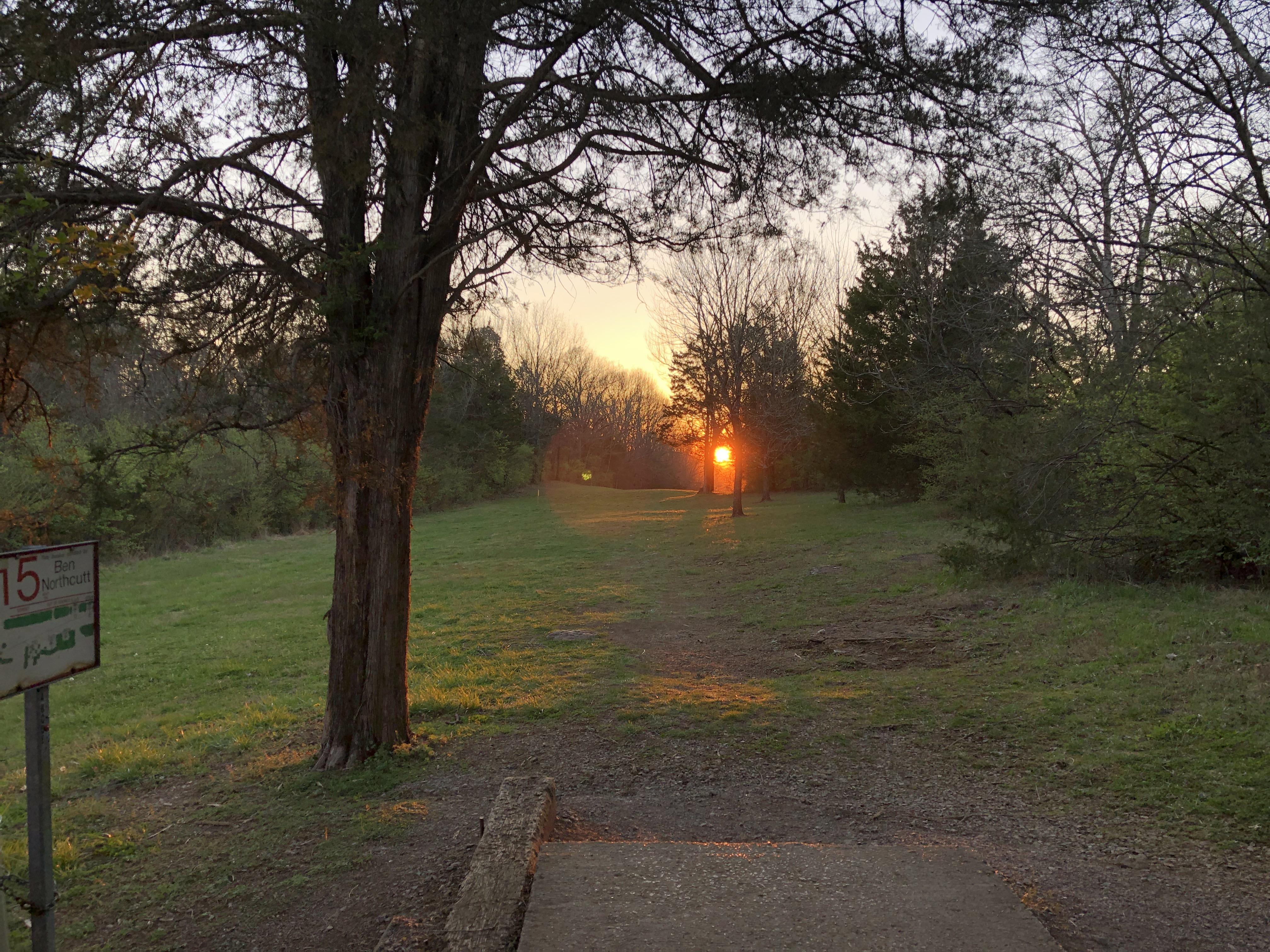 Spring Sunset at Cedar Hill Park Nashville, TN r/discgolf
