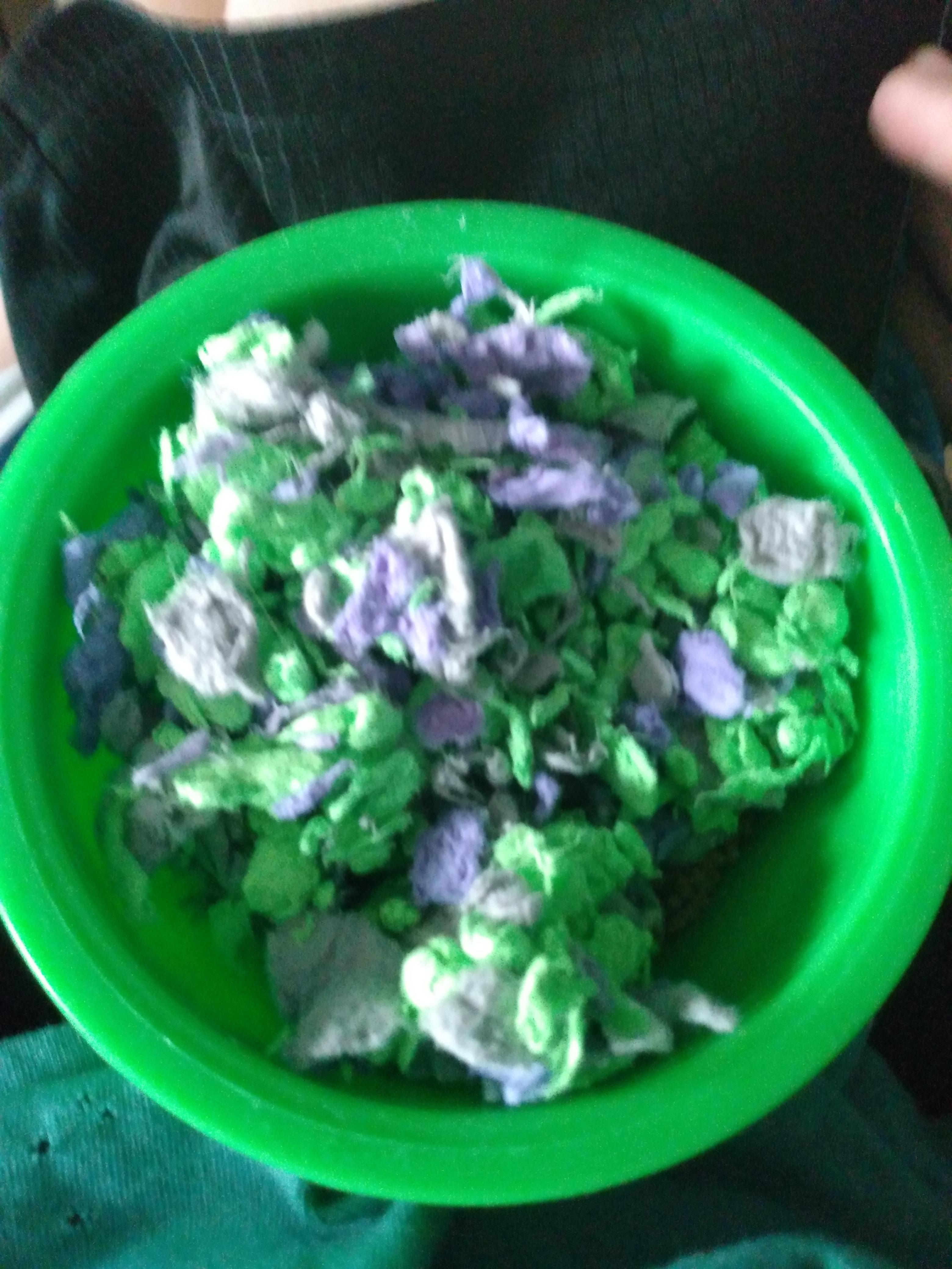 I have no clue how my hedgehog made such a mess in her food bowl r