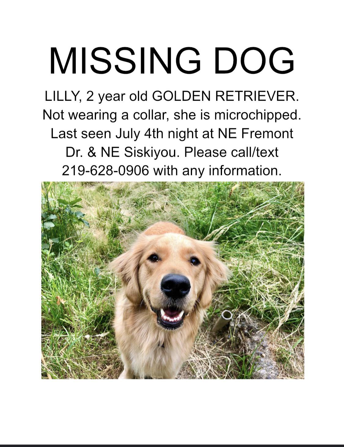 LOST DOG Lilly is a 2 year old 60lb golden retriever that ran away
