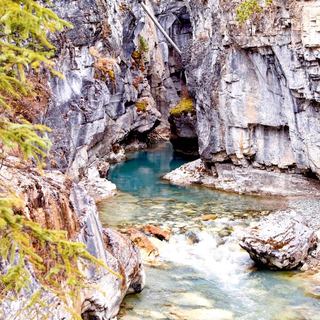 Marble Canyon, Kootenay NP British Columbia, Canada [1080x1078] (OC