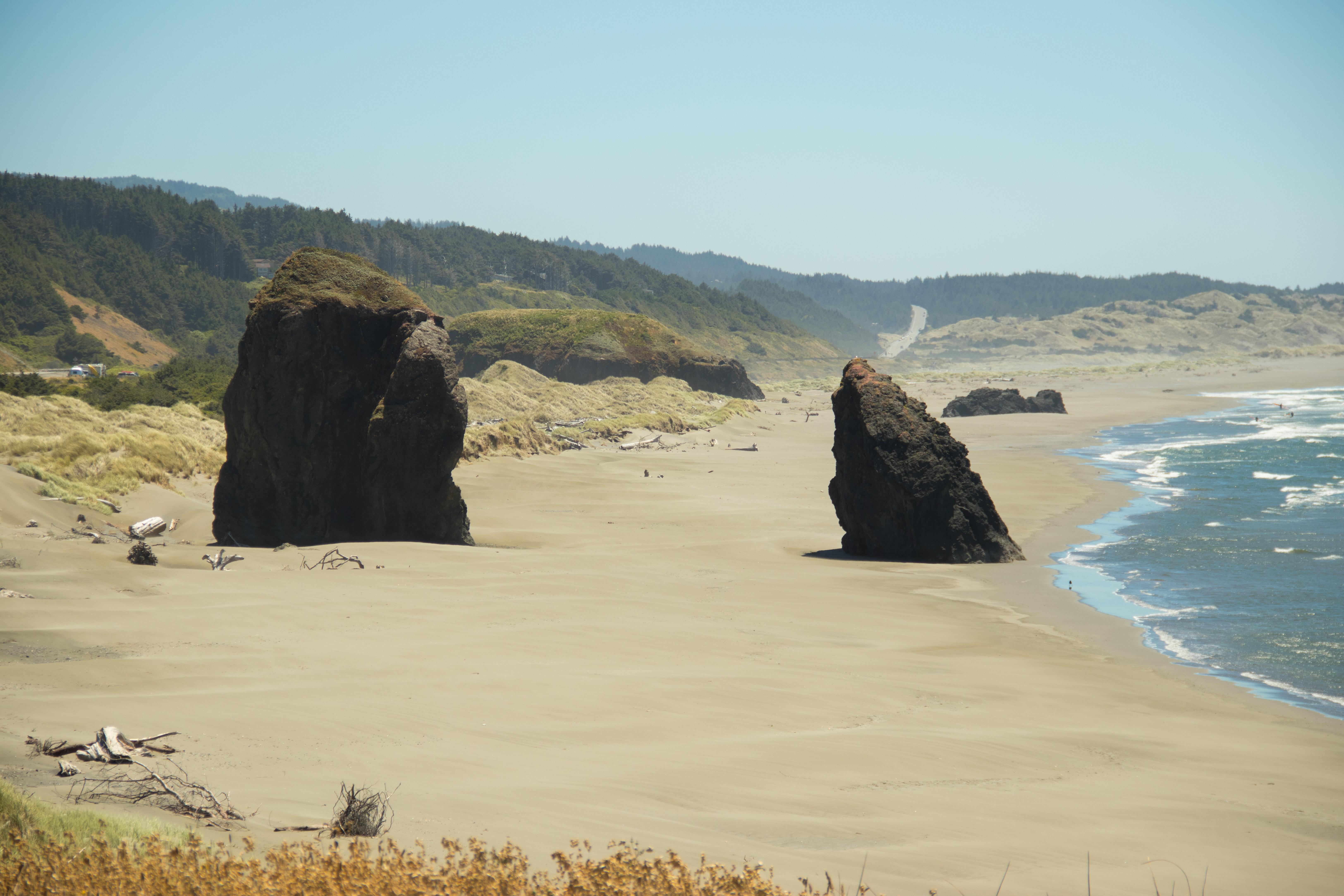 Stopped for a quick rest near Gold Beach, Oregon [6500 × 4333] (OC) r