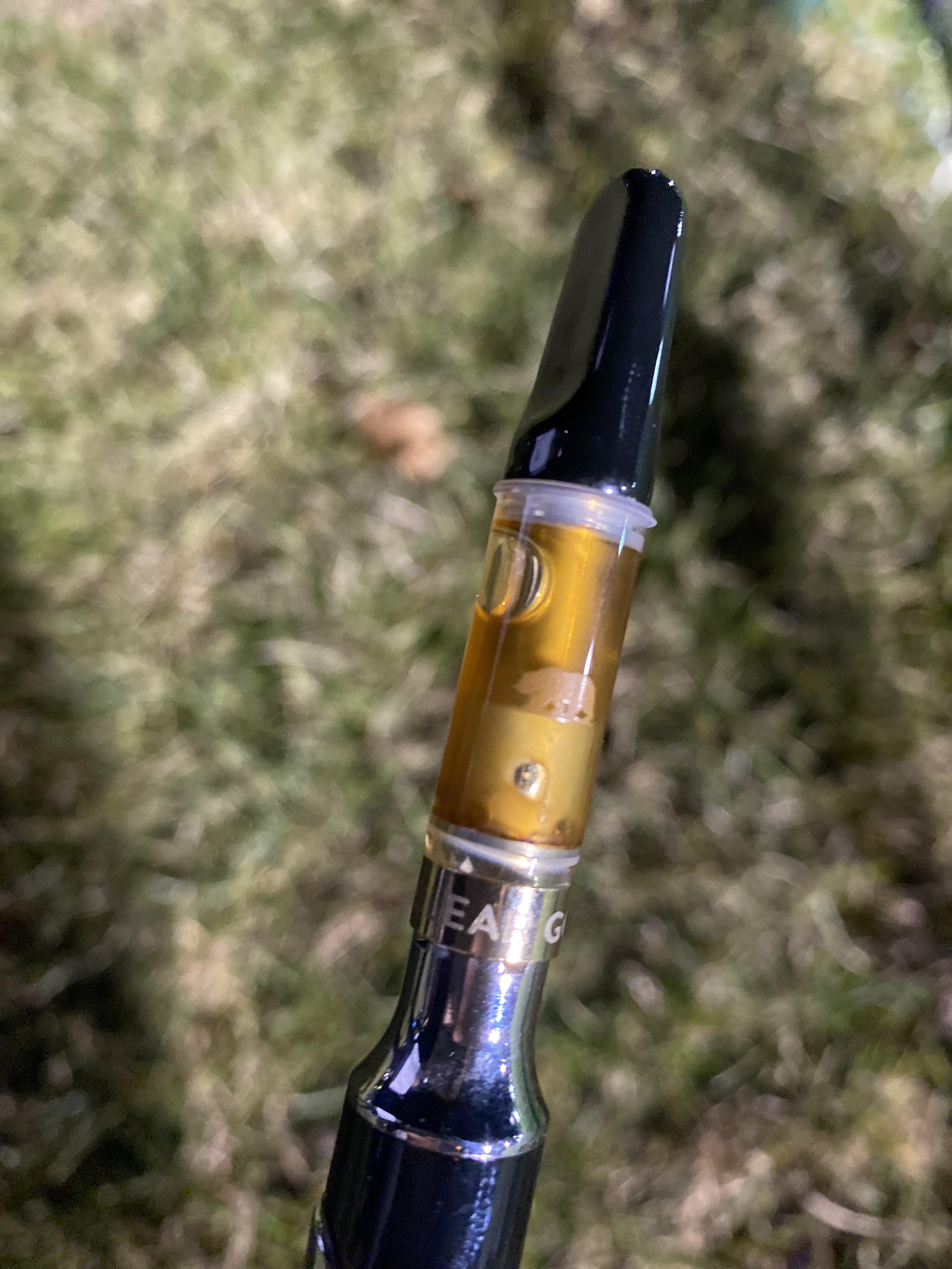 Yoo just bought this (gold coast clear cart ice cream cake) any ideas