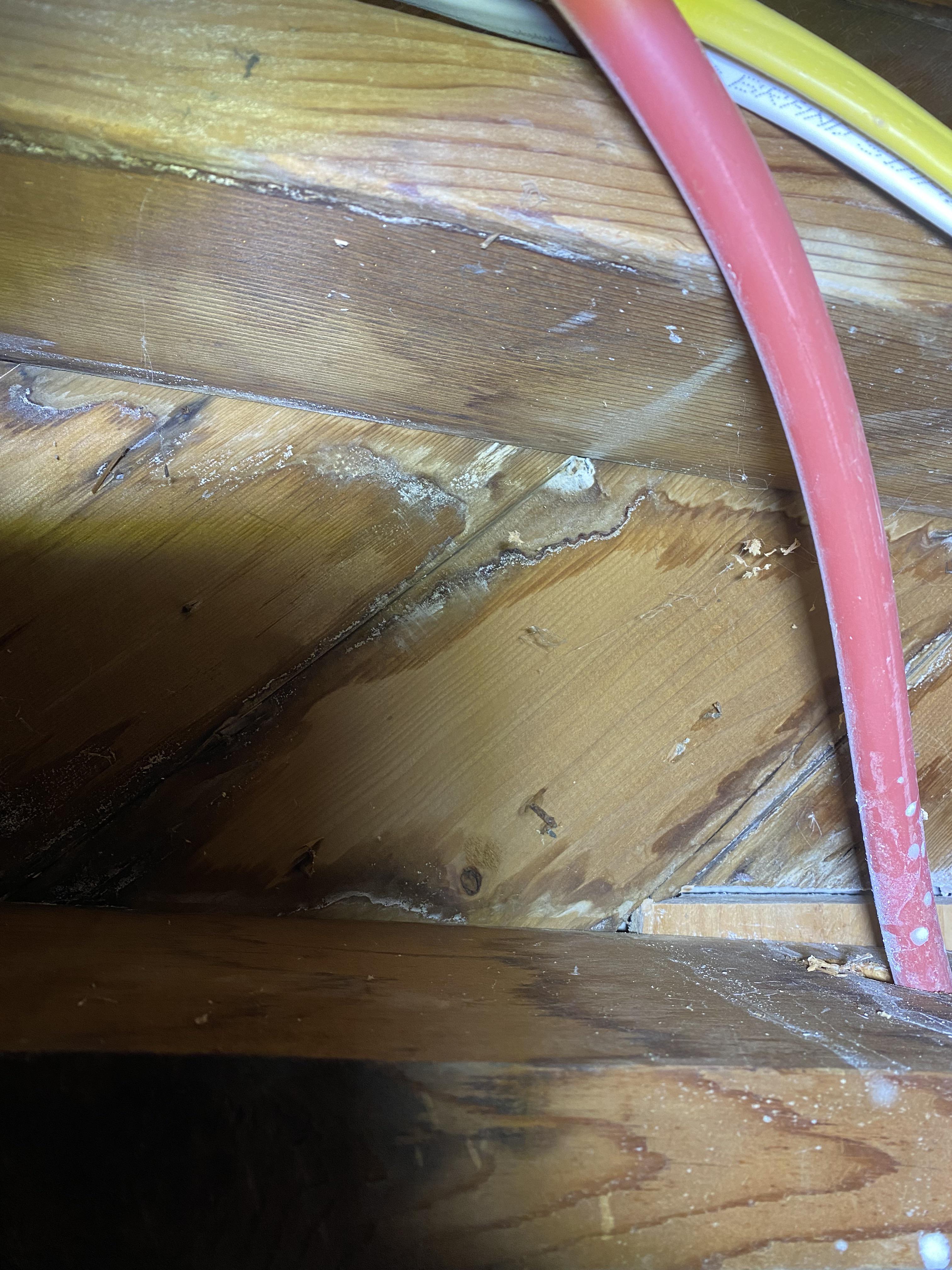 Had a leaking pipe under my house that was fixed. The floor joists and